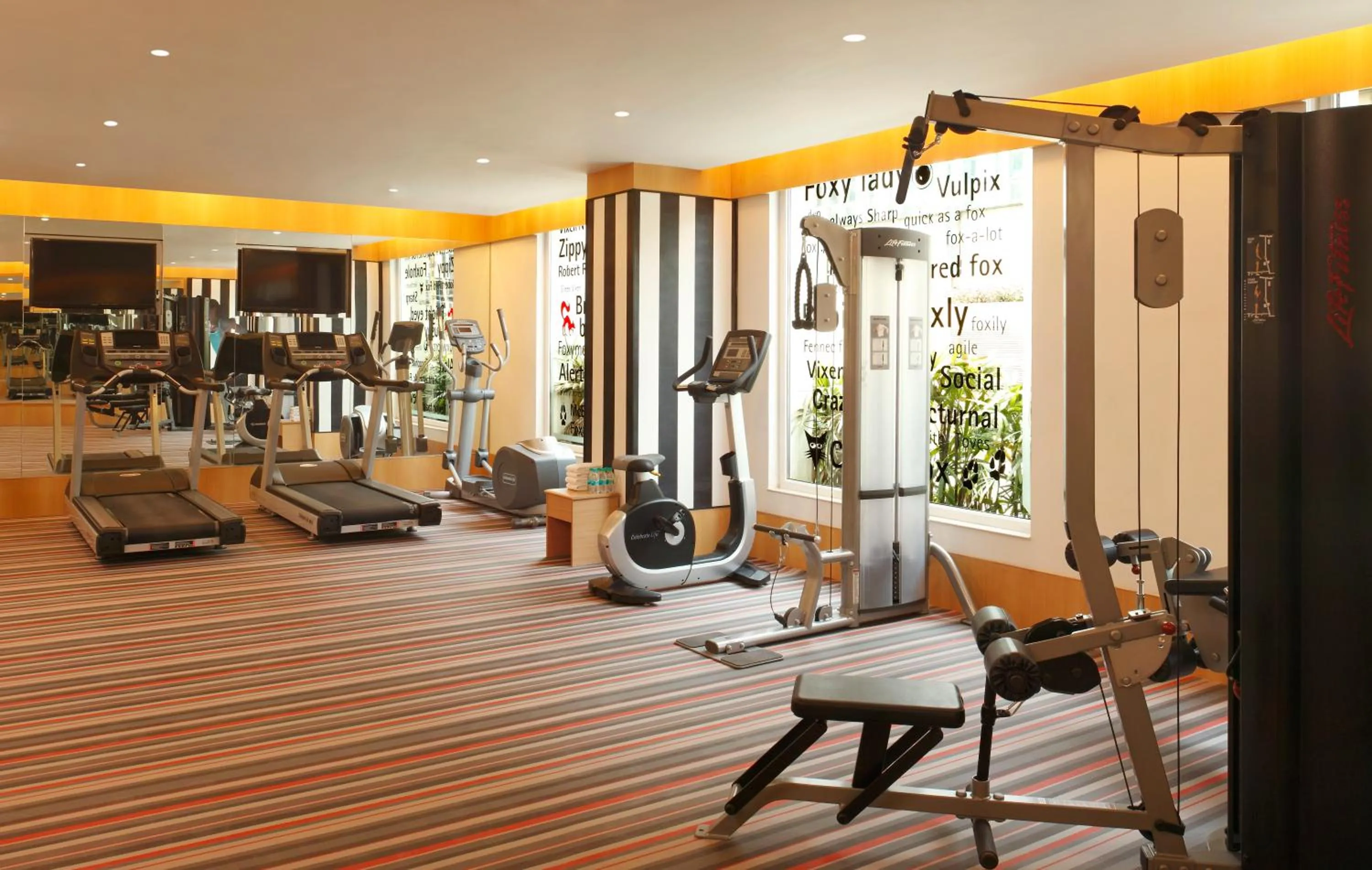 Fitness centre/facilities in Red Fox by Lemon Tree Hotels, East Delhi