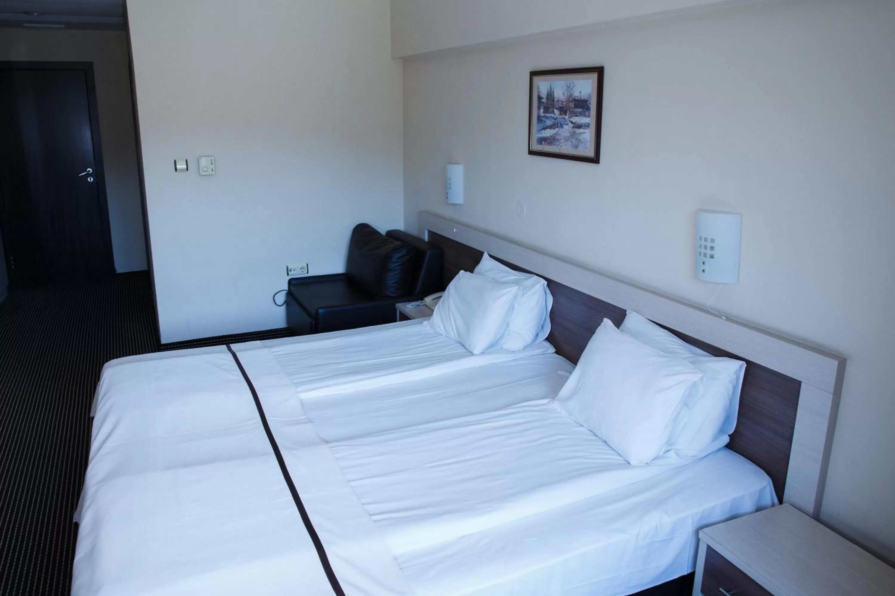 Bed in Spa Hotel Kleptuza