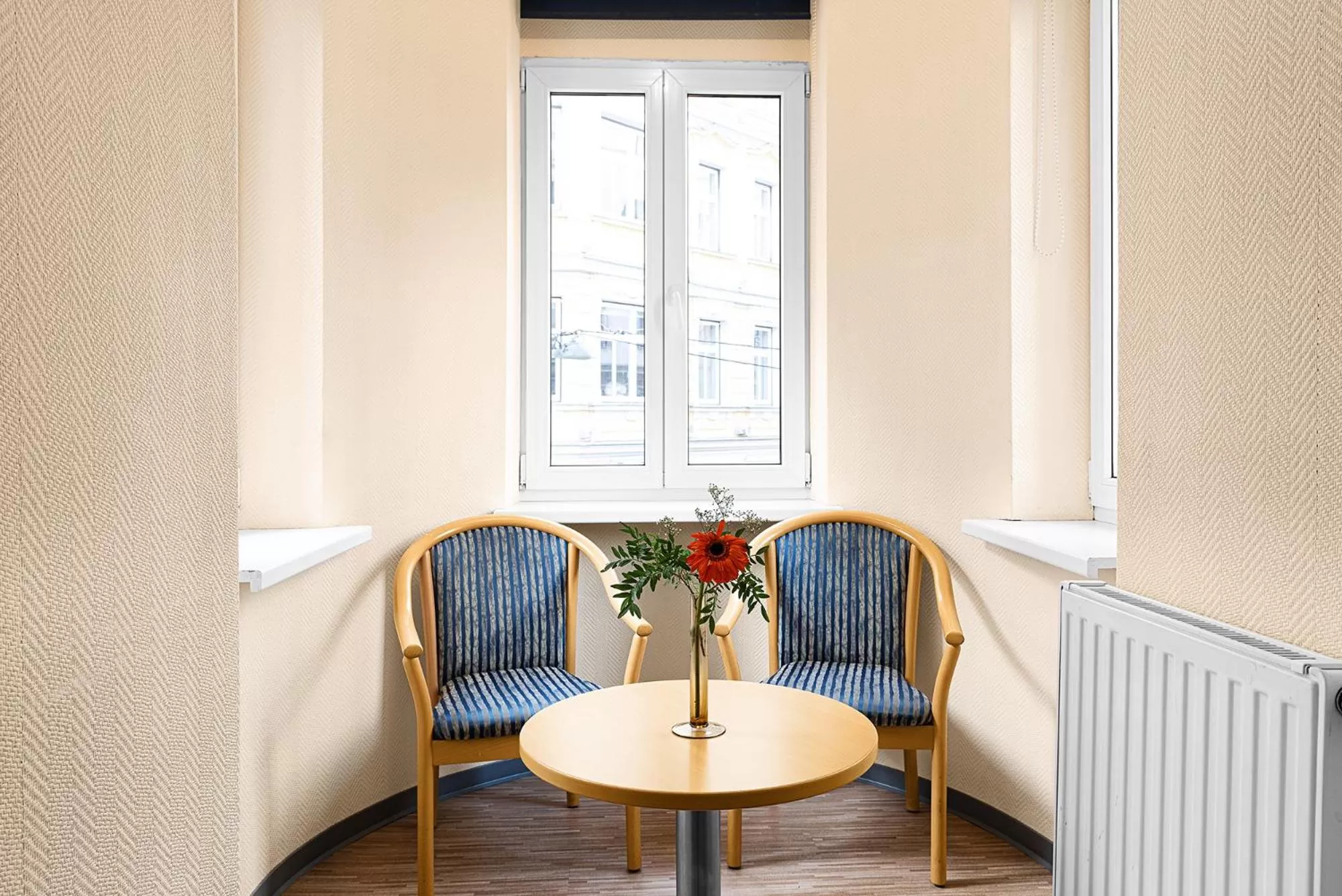 Photo of the whole room in Hotel-Pension Wild