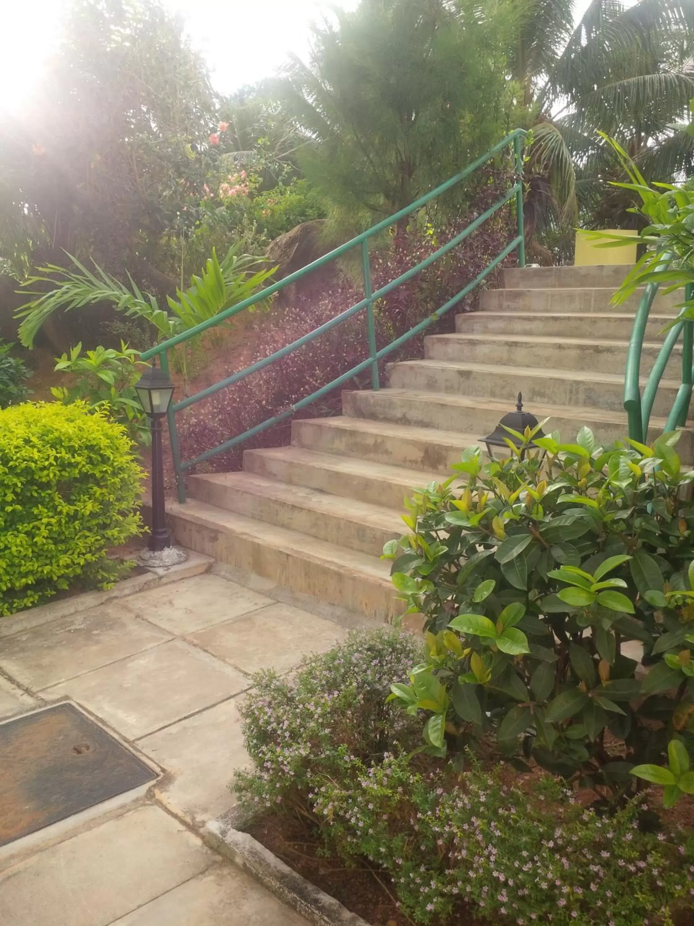 One-Bedroom Apartment with Garden View in Evergreen Apartments One-Bedroom Apartment with Garden View in Evergreen Apartments