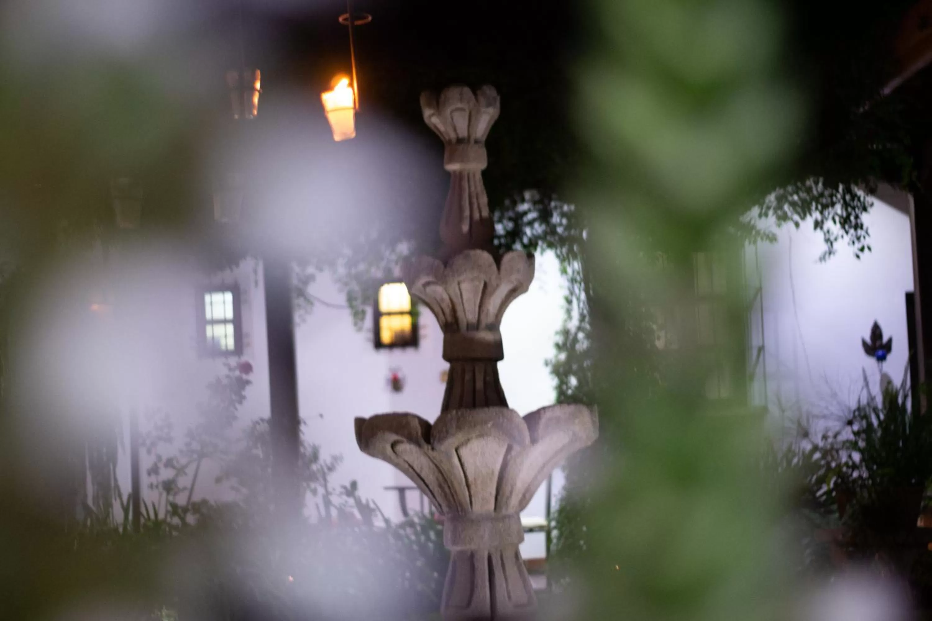 Garden in Hotel Las Marias