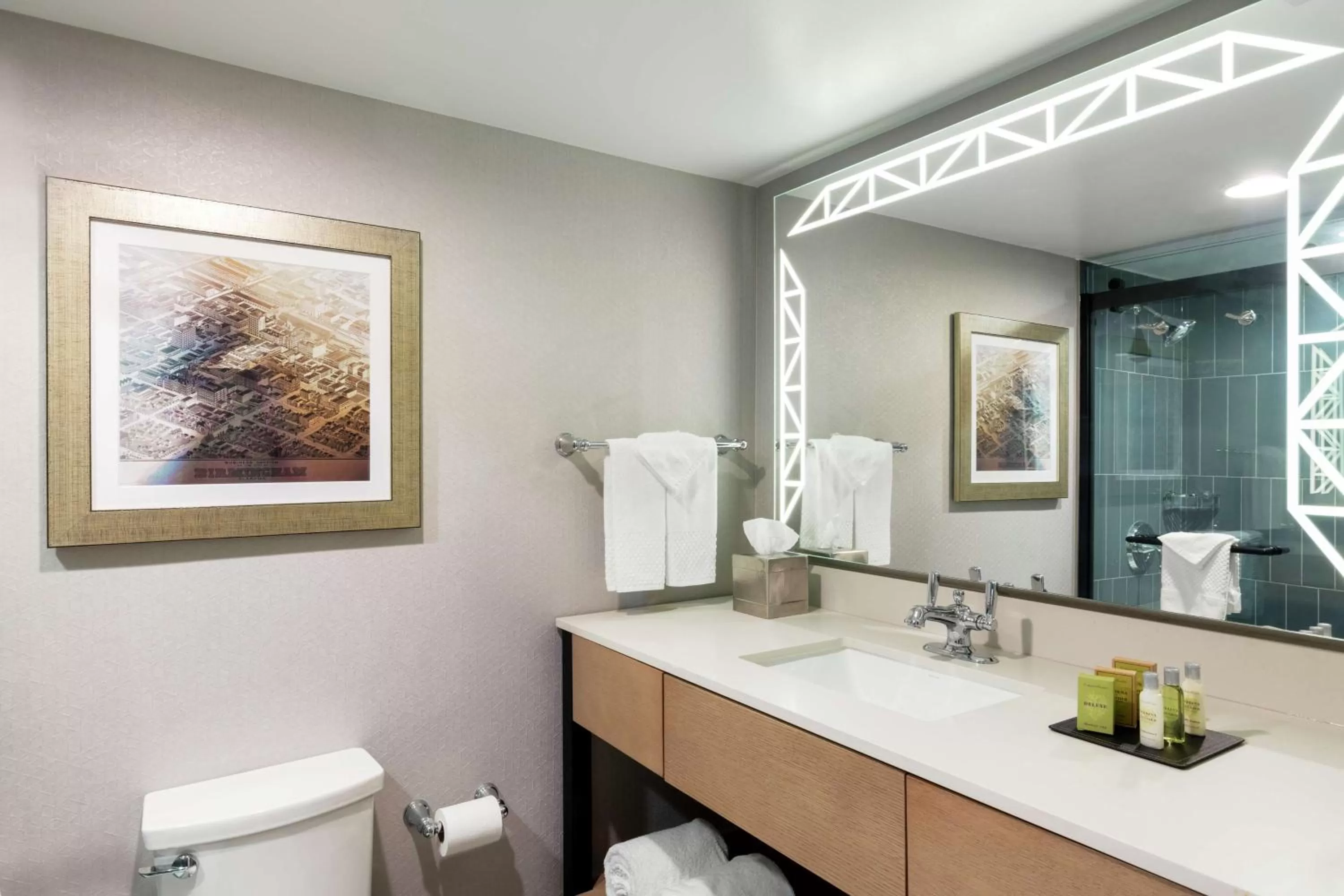 Bathroom in DoubleTree Birmingham Perimeter Park