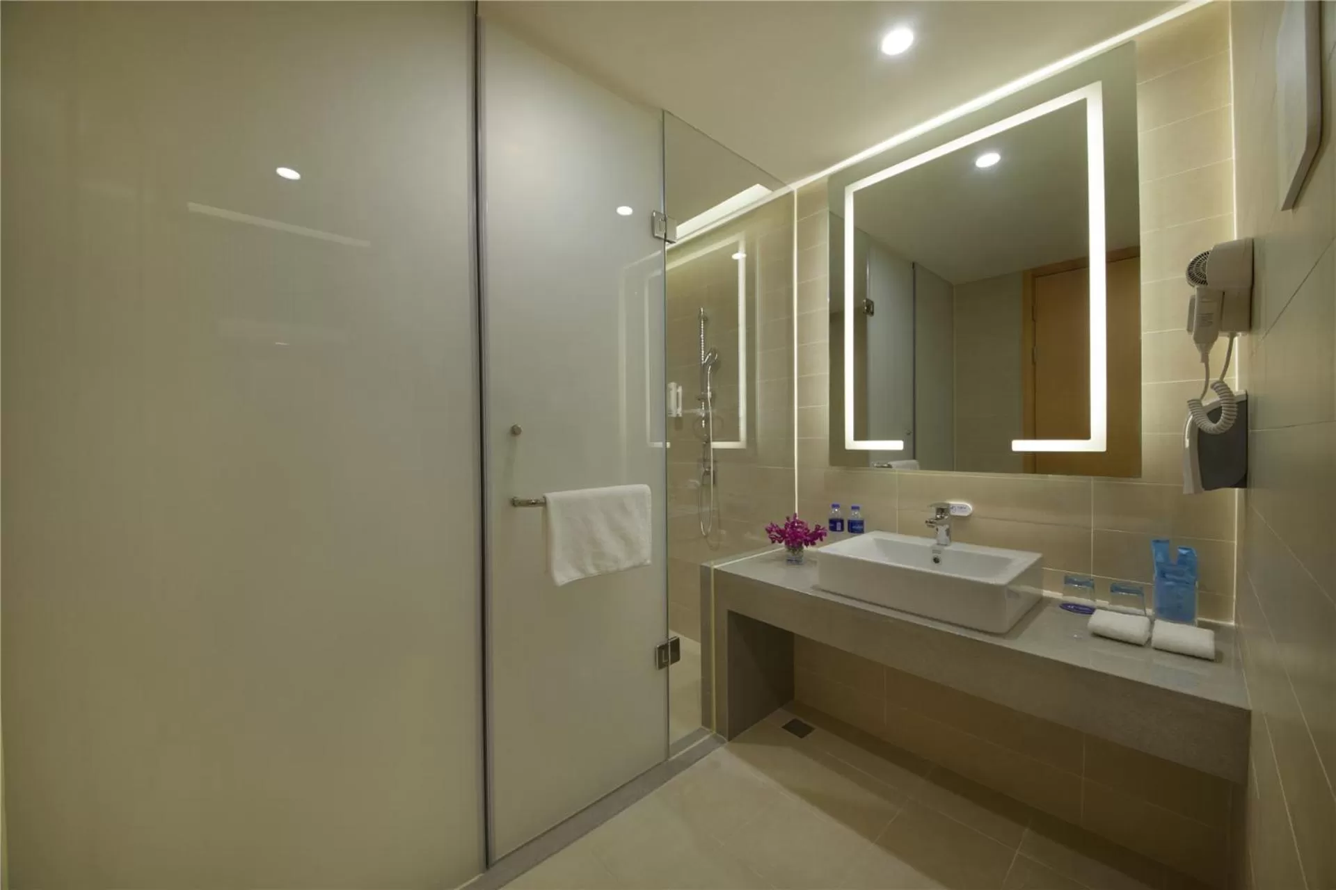 Shower in Holiday Inn Express Zhengzhou Zhengdong by IHG