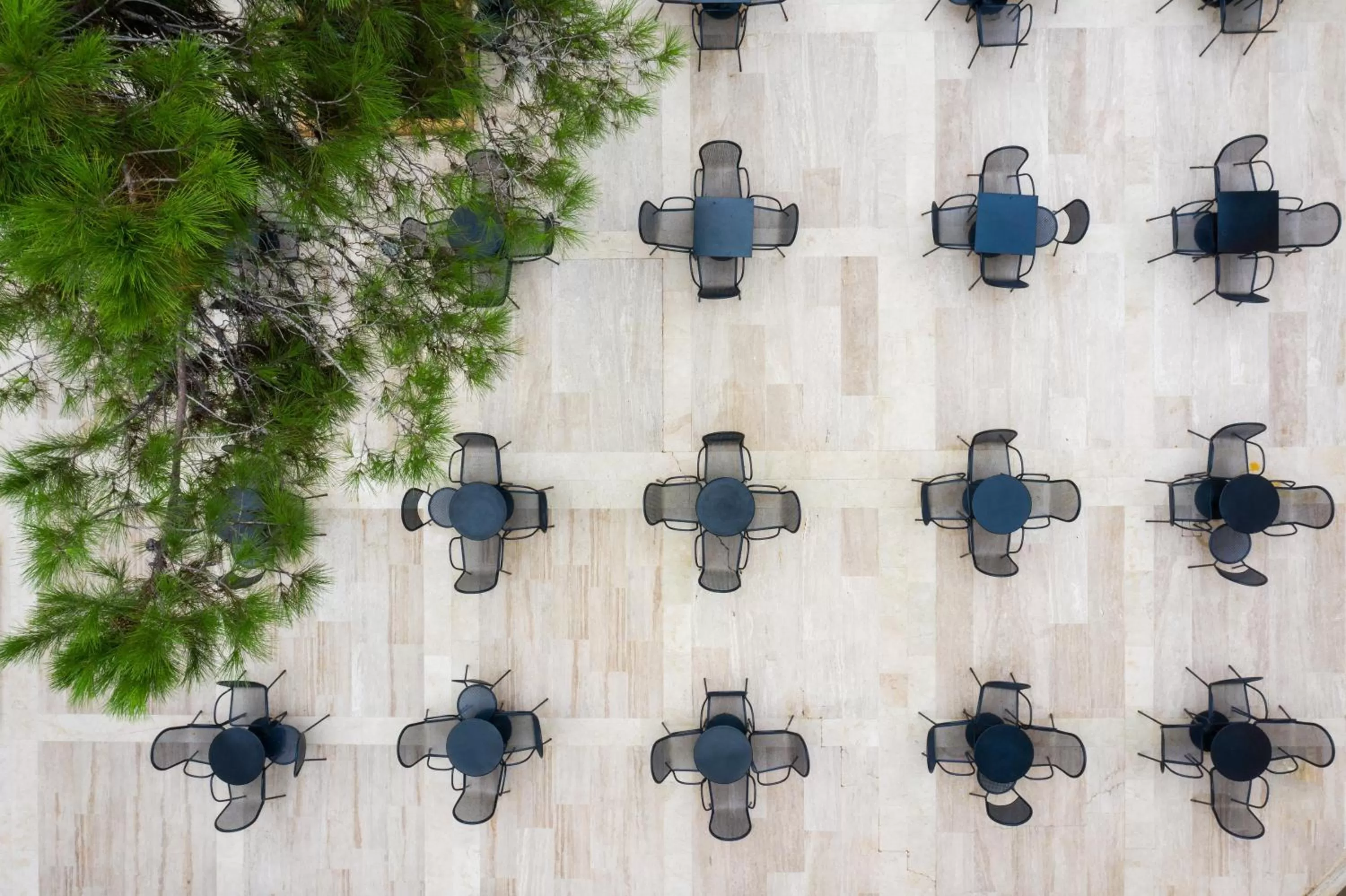 Lounge or bar in Asteria Collection Side