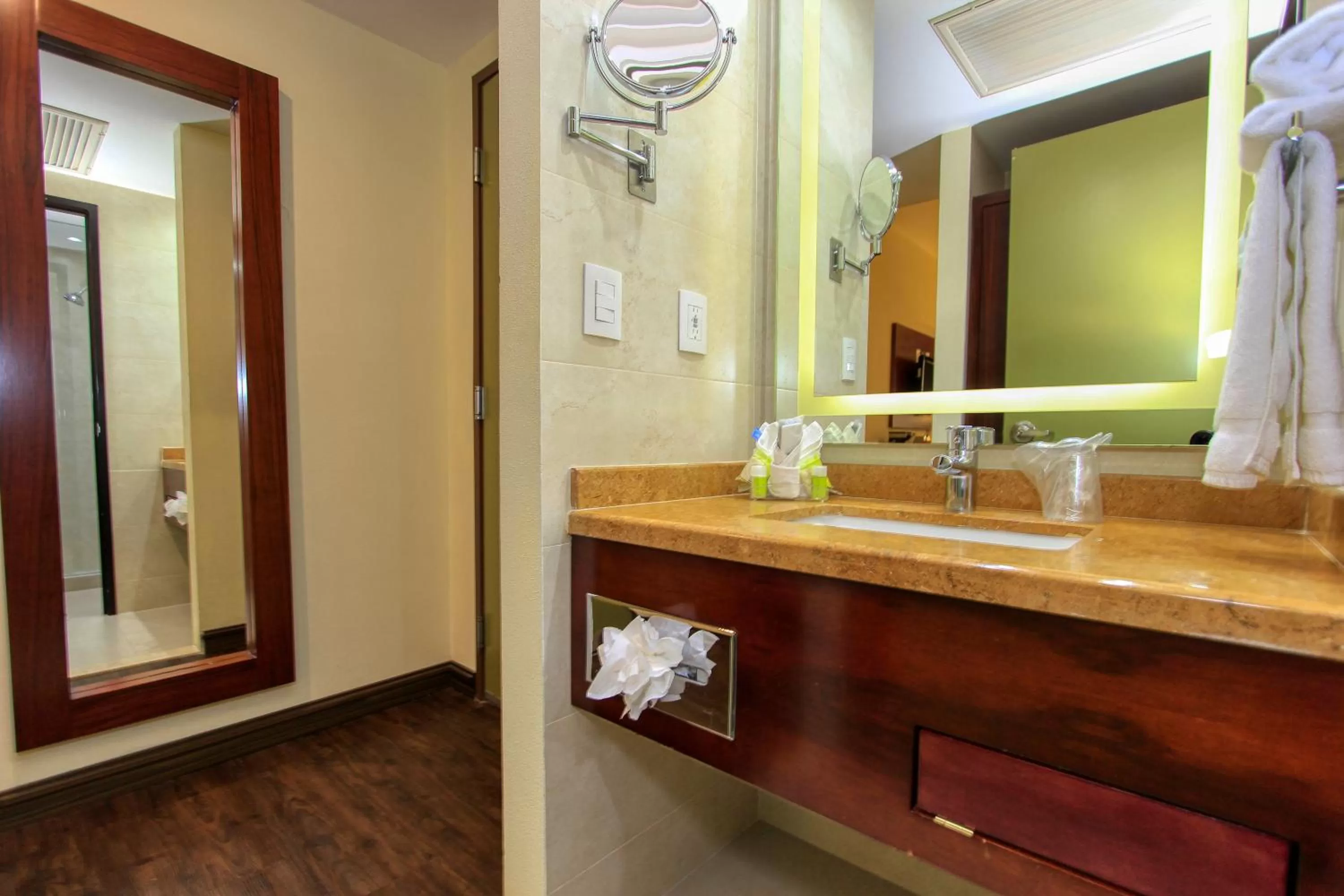 Bathroom in Holiday Inn Leon by IHG