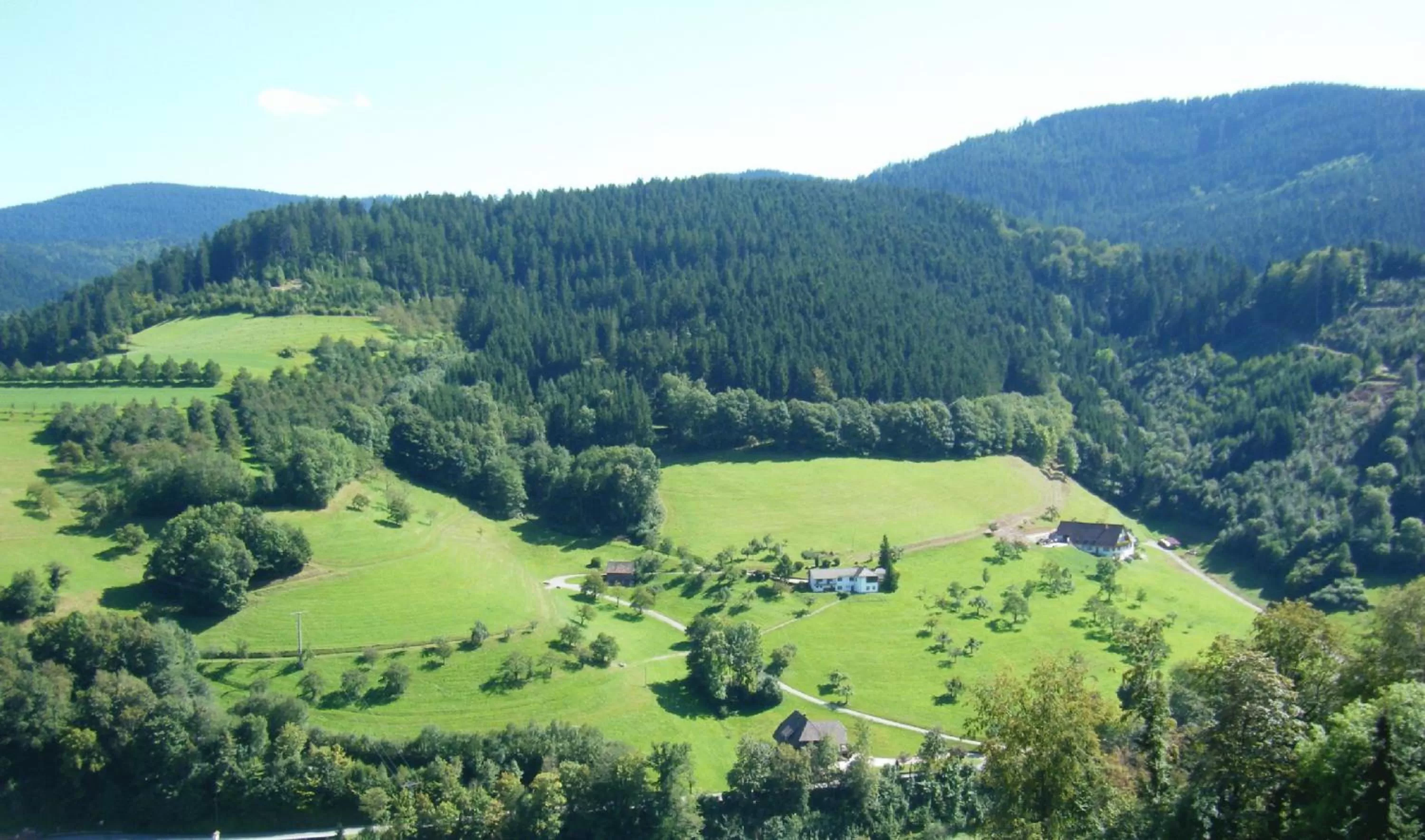 Day, Bird's-eye View in Hotel Schauinsland