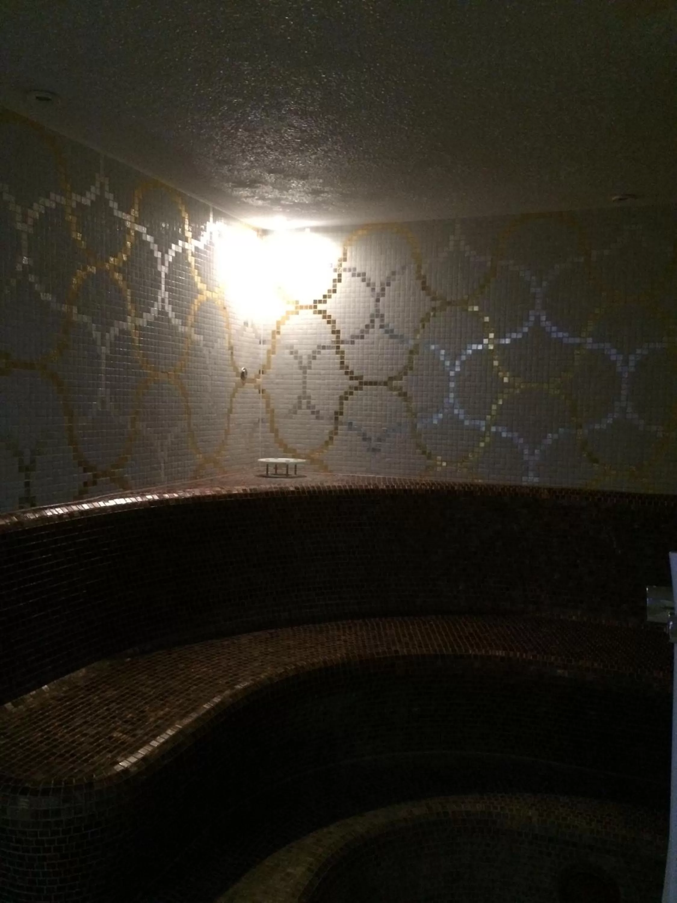 Steam room in WELLNESS HOTEL LÖWE