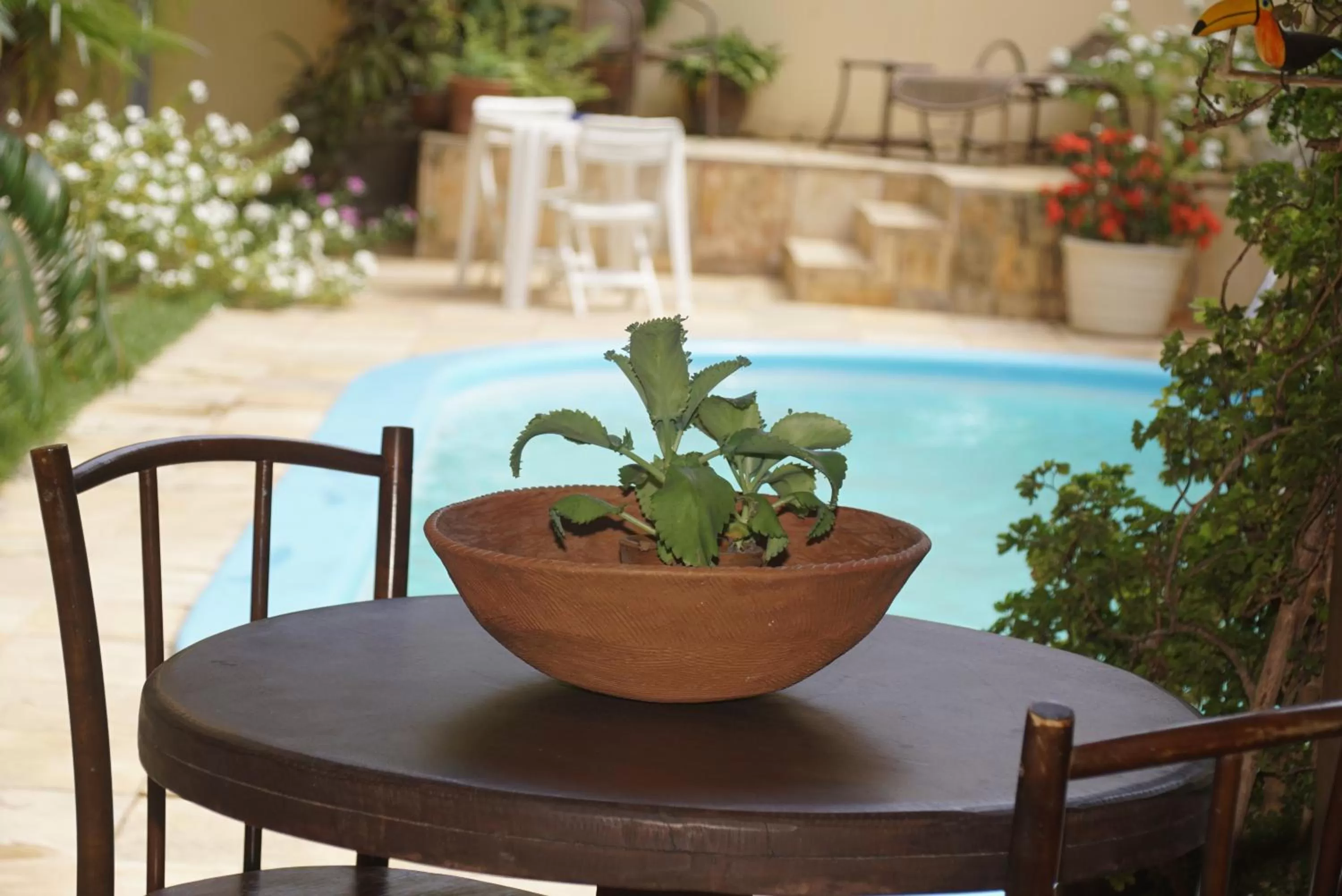 Pool view in Hospedaria Lua Raio de Sol