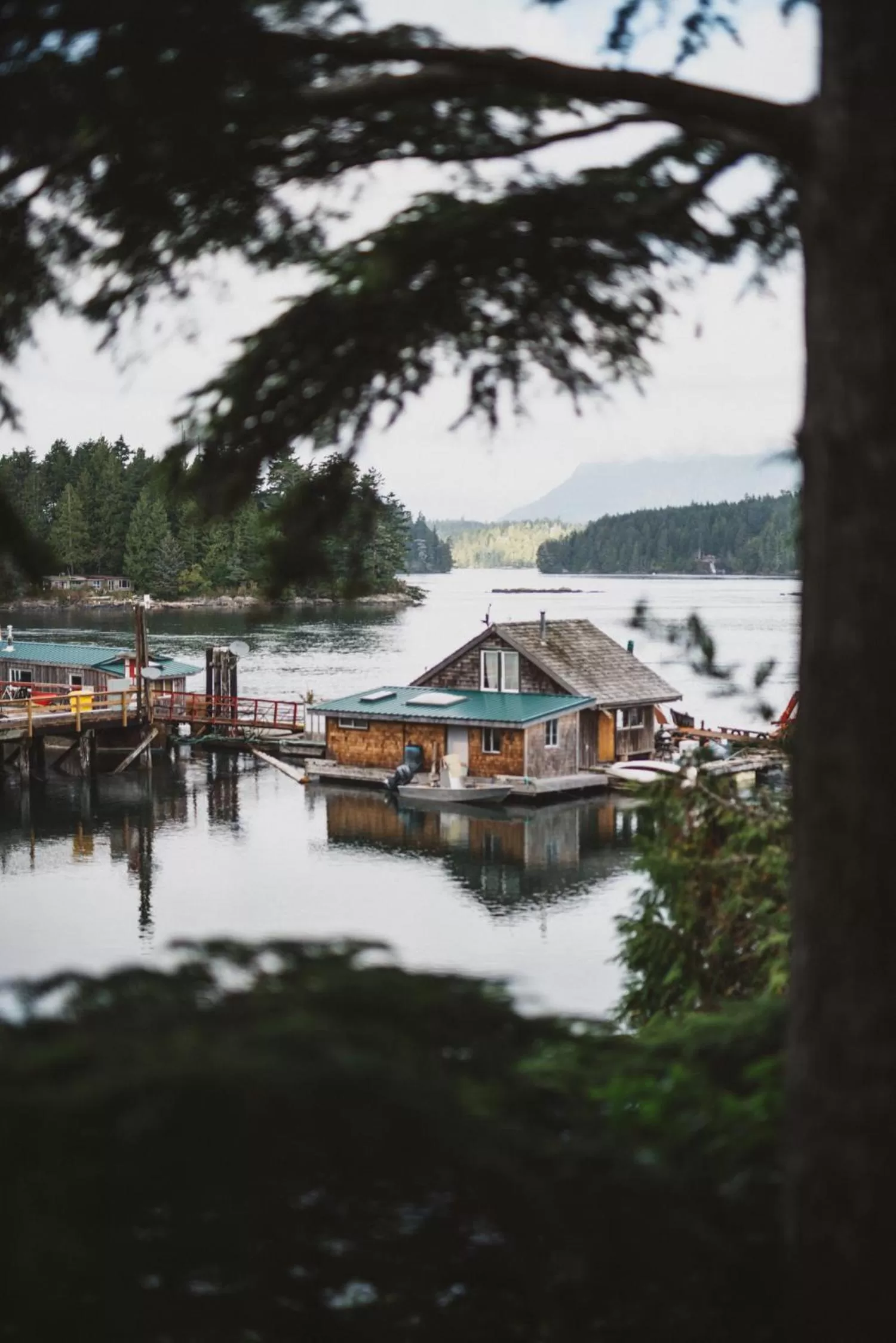 Natural landscape in The Shoreline Tofino