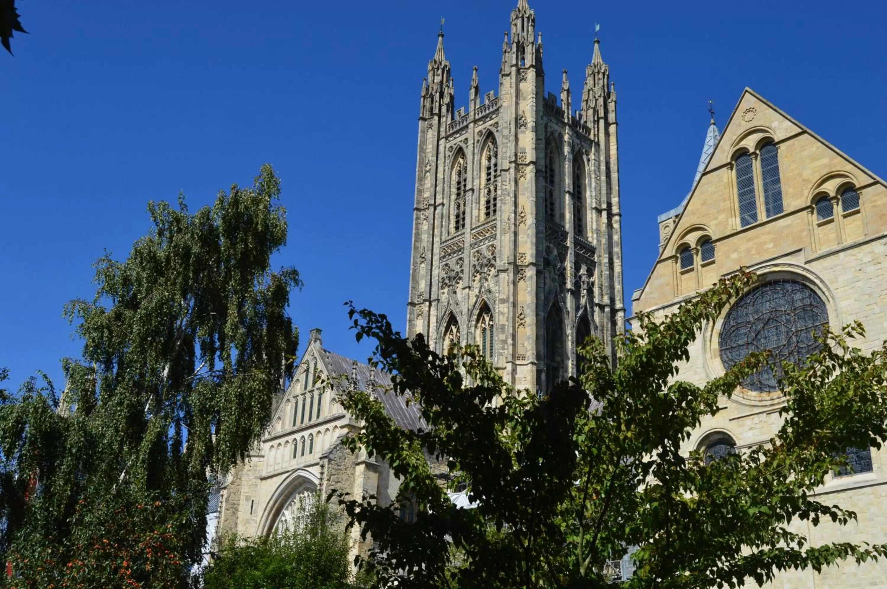 Garden view in Canterbury Cathedral Lodge