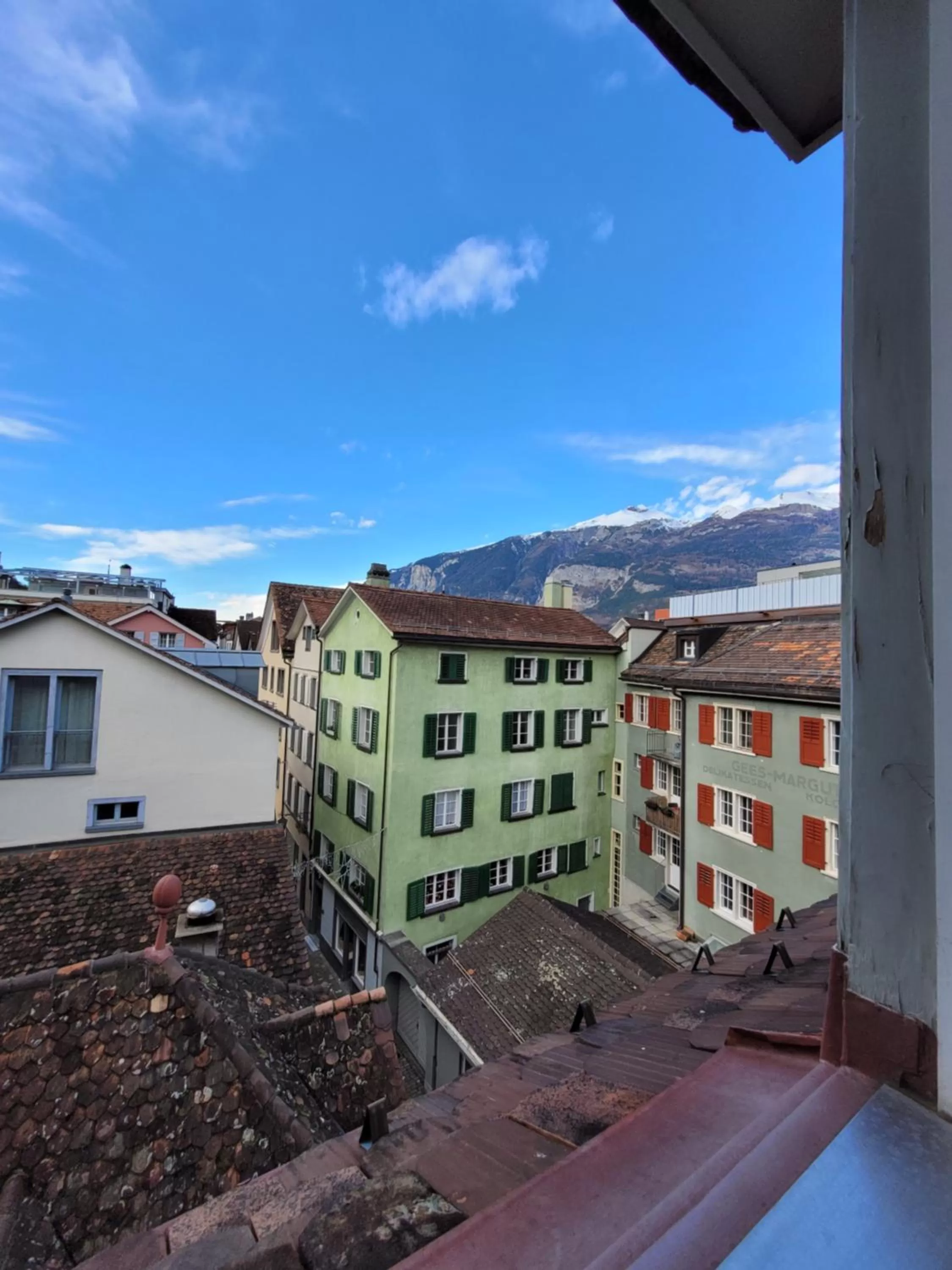 View (from property/room) in Zunfthaus zur Rebleuten