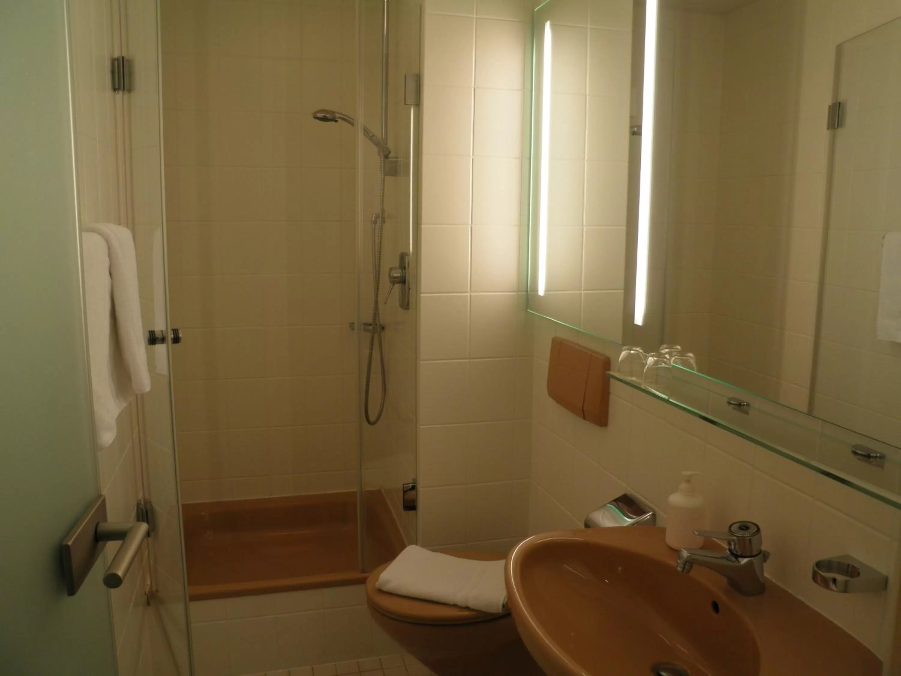 Bathroom in Hotel und Gasthof Ritter St. Georg