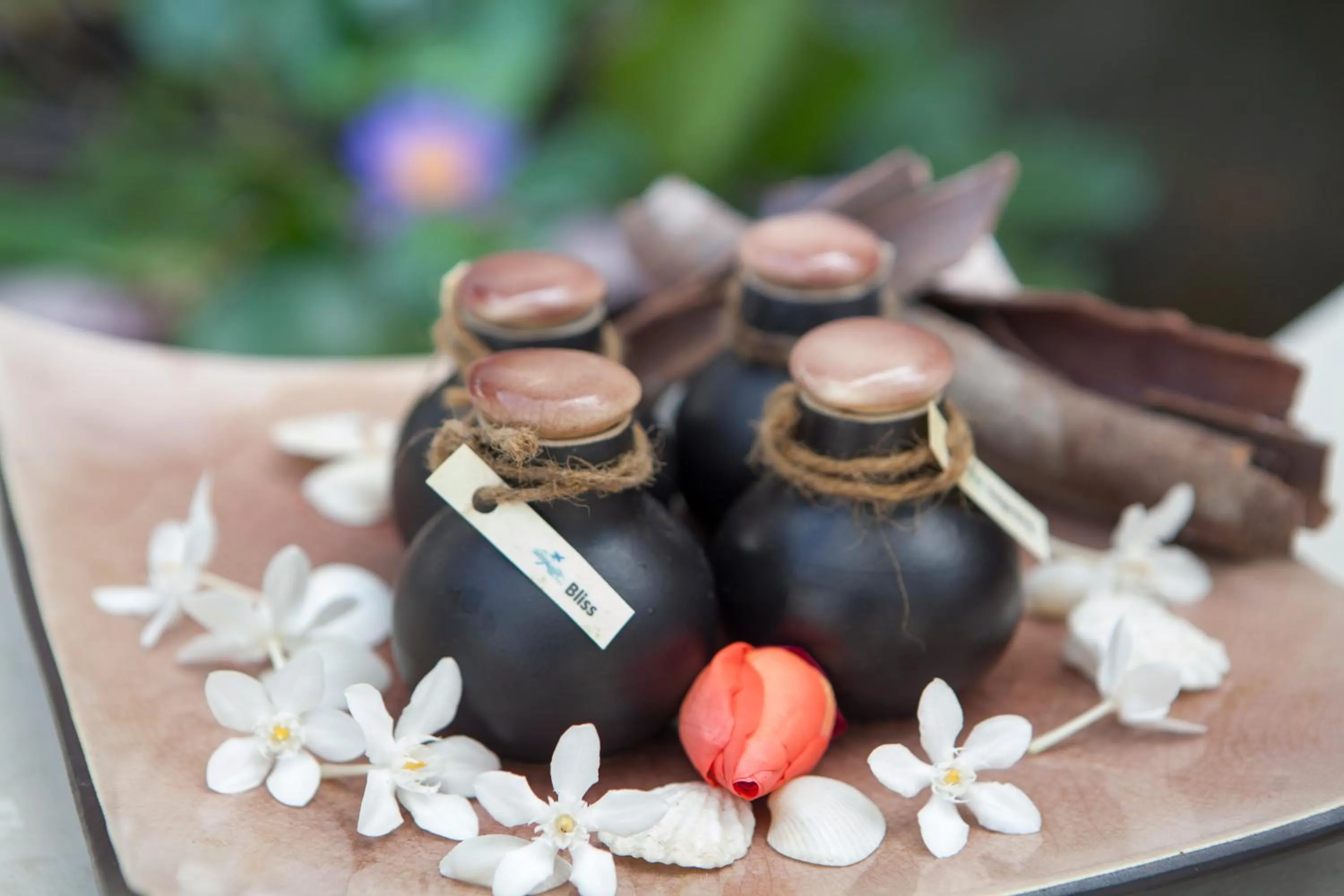 Other in Blue Ocean Resort