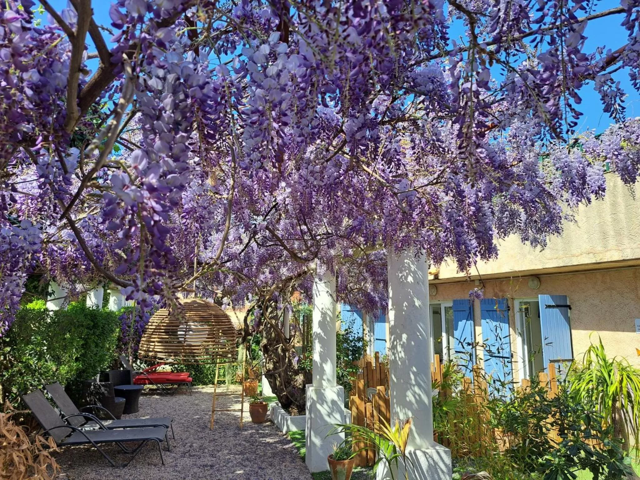Property Building in Chez Louis