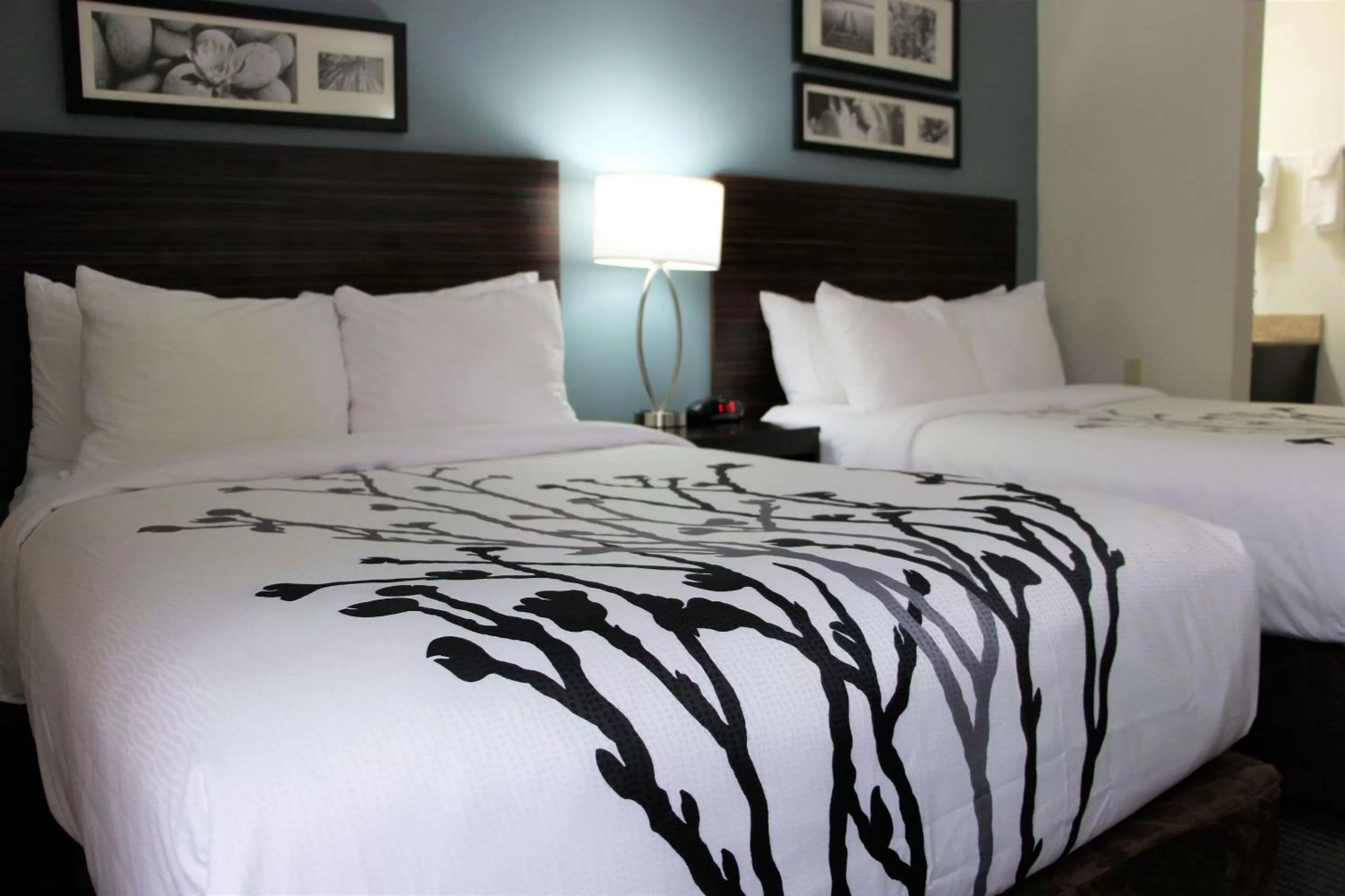 Photo of the whole room, Bed in Sleep Inn Chattanooga Hamilton Place