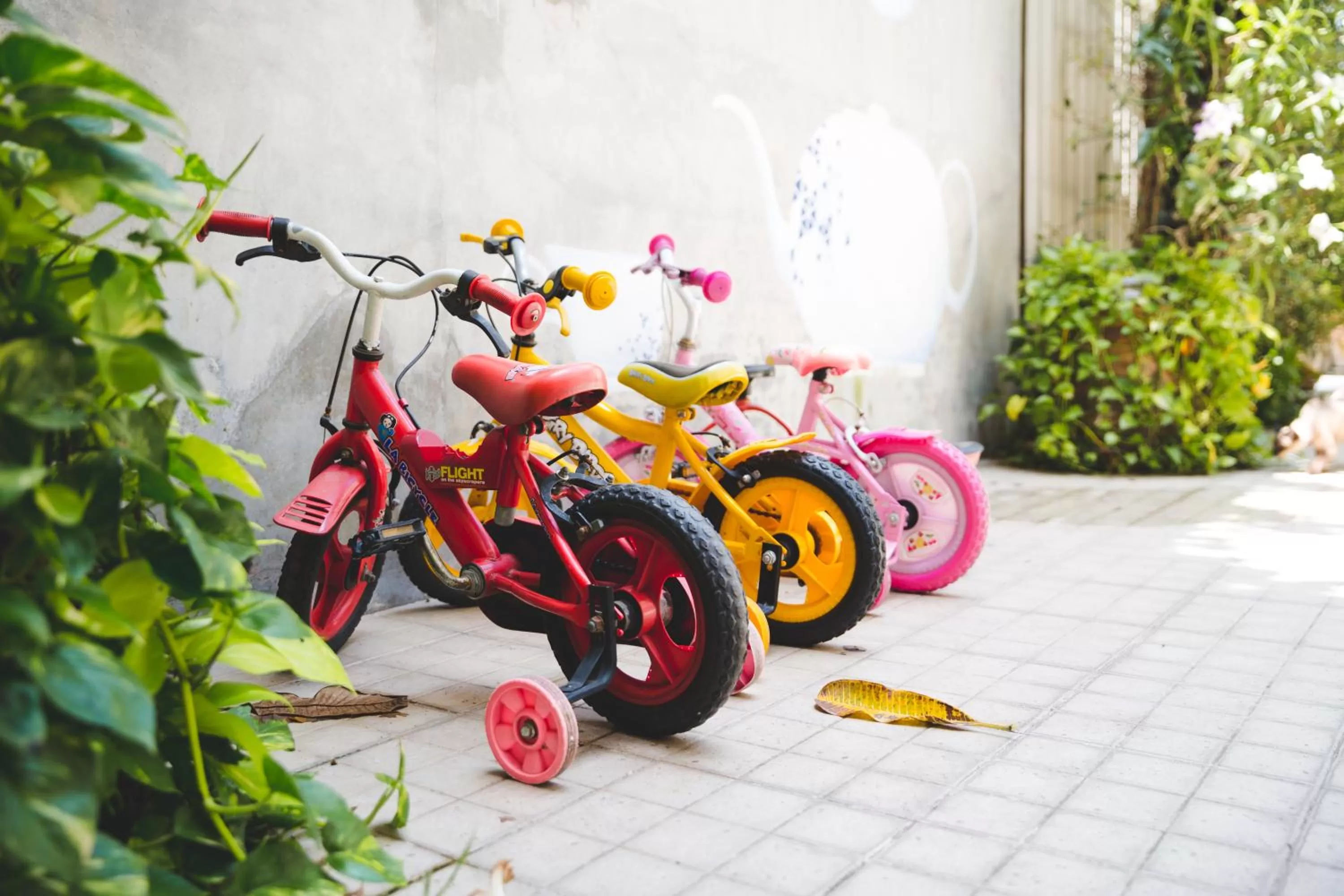 Area and facilities in Feung Nakorn Balcony Rooms and Cafe