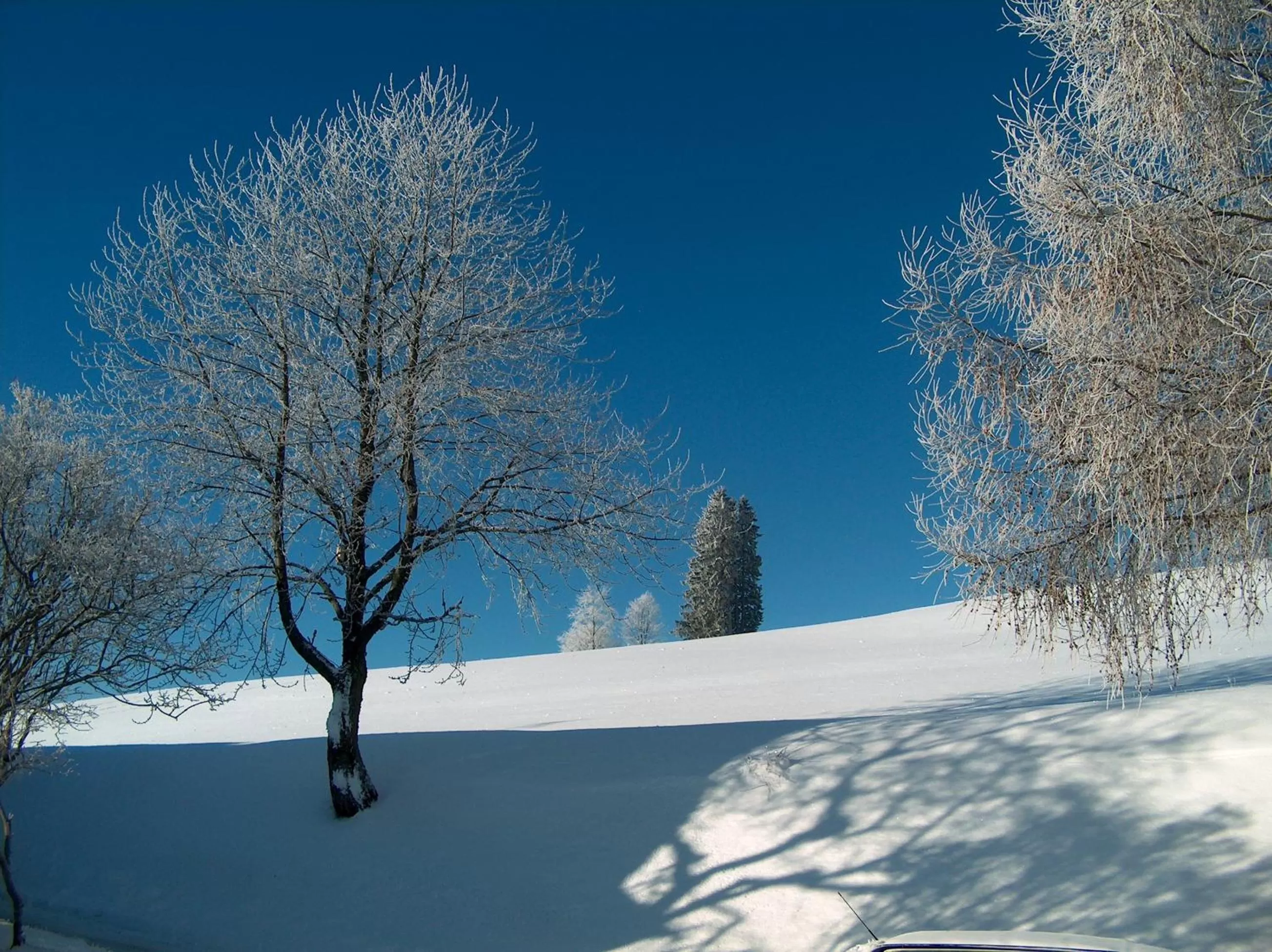 Natural landscape in ZUR TRAUBE Schwarzwaldhotel & Restaurant am Titisee