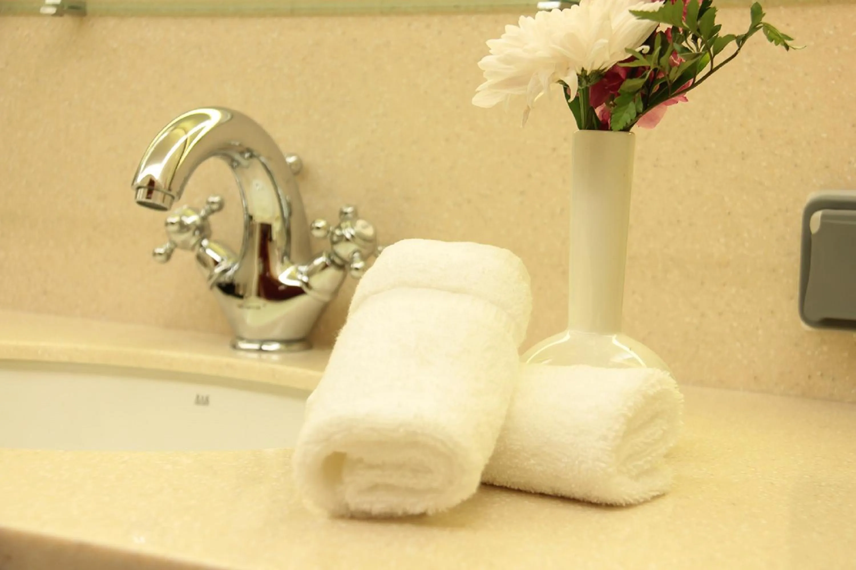 Area and facilities in Thousand Nights Hotel Amman - فندق ثاوزند نايتس عمان