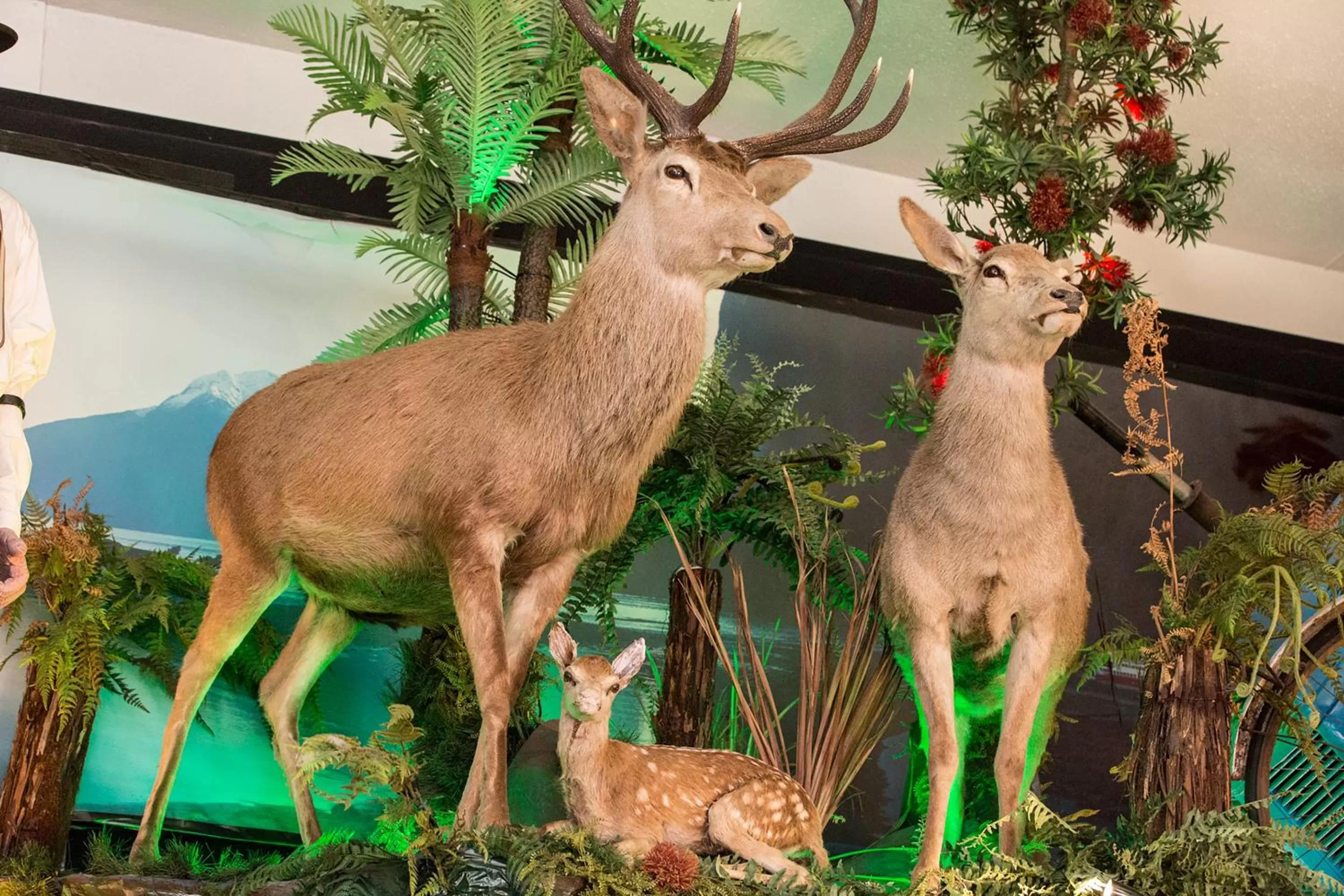 On site in Pavilions Hotel