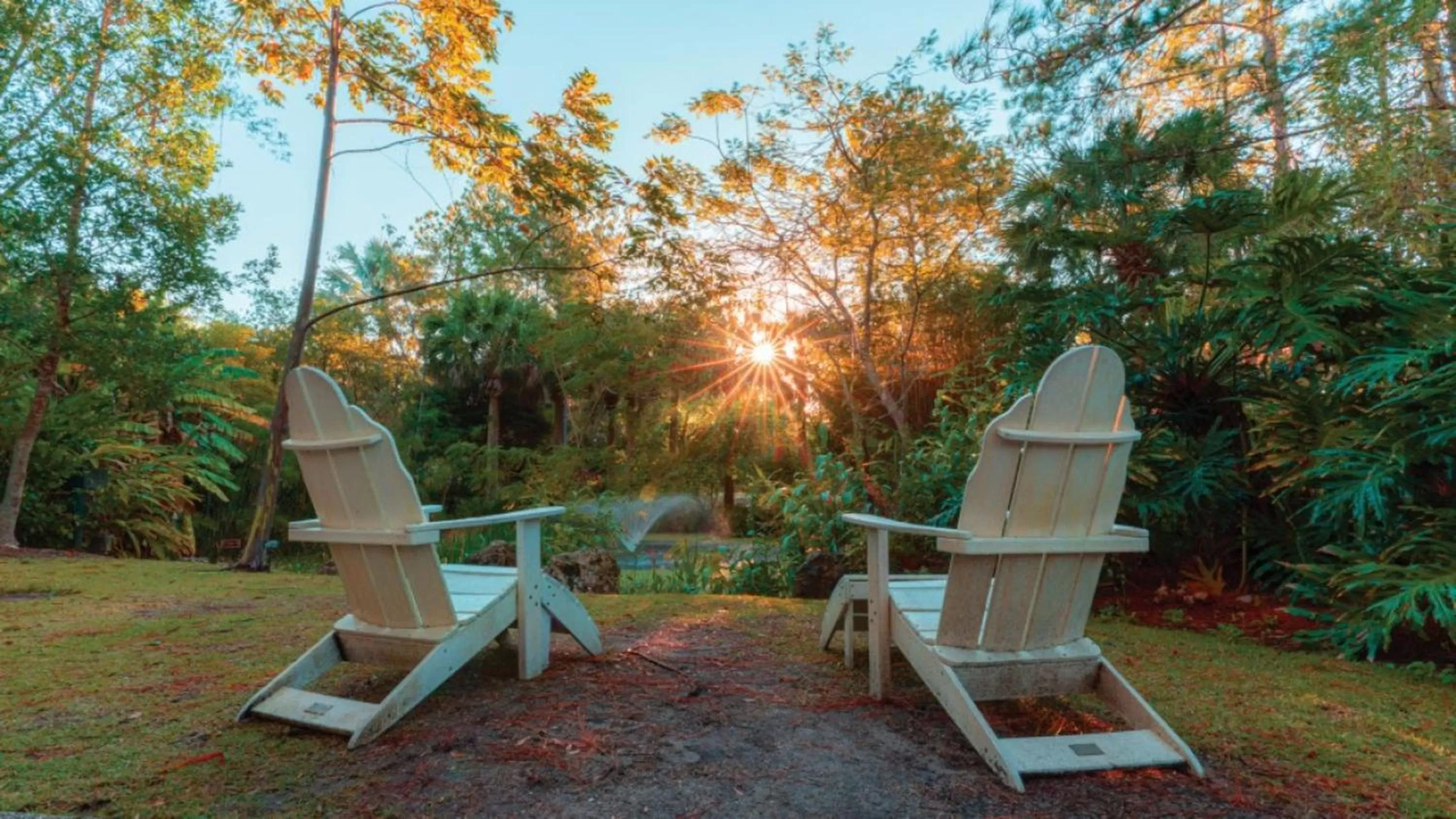 Nearby landmark in Holiday Inn Express Hotel & Suites Tampa-Oldsmar by IHG