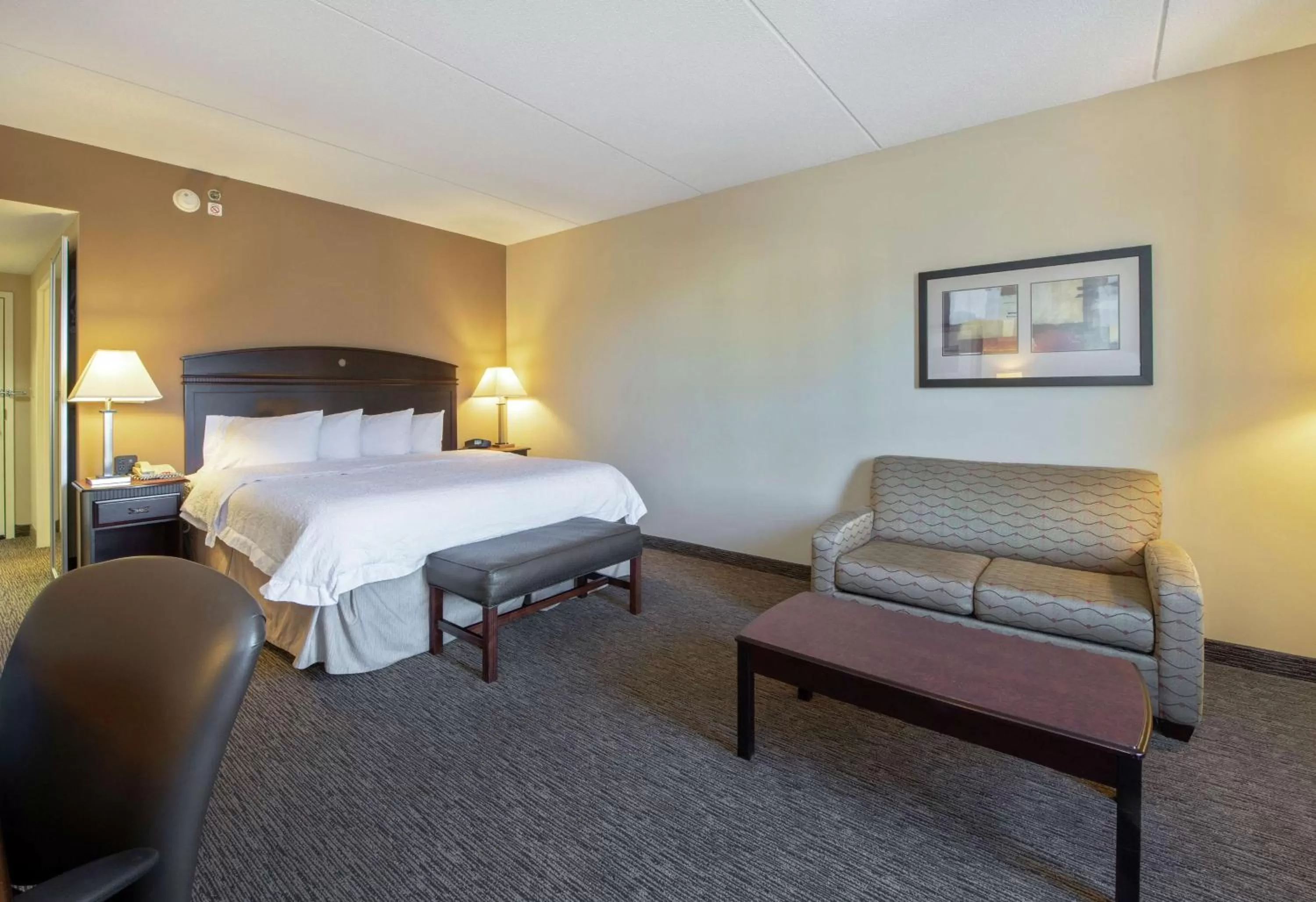Deluxe King Room - Non-Smoking in Hampton Inn & Suites Burlington