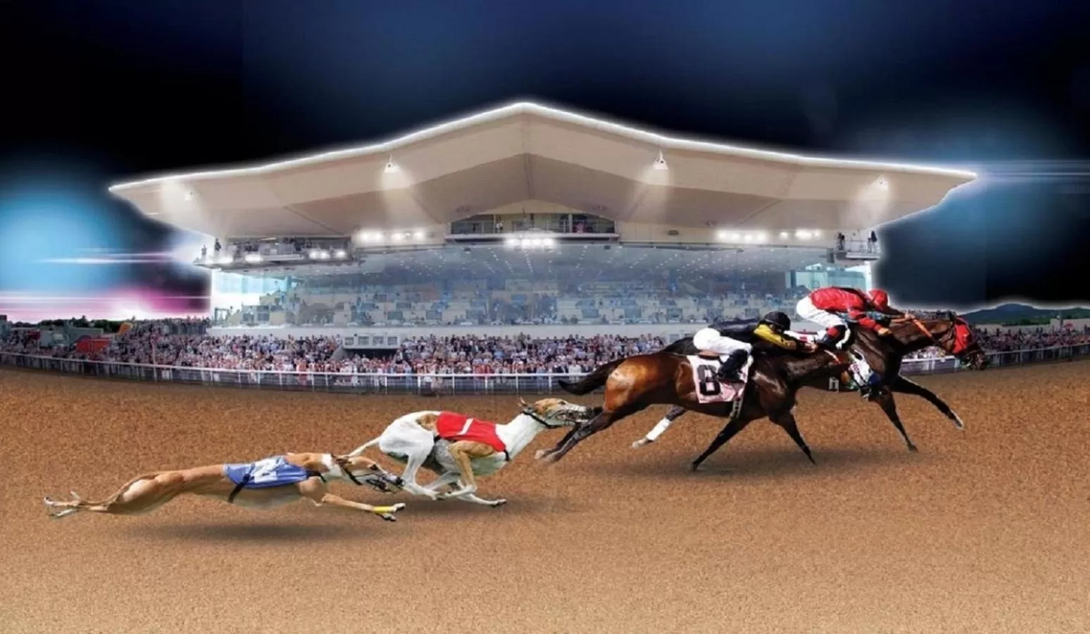 Night in Hotel Imperial Dundalk