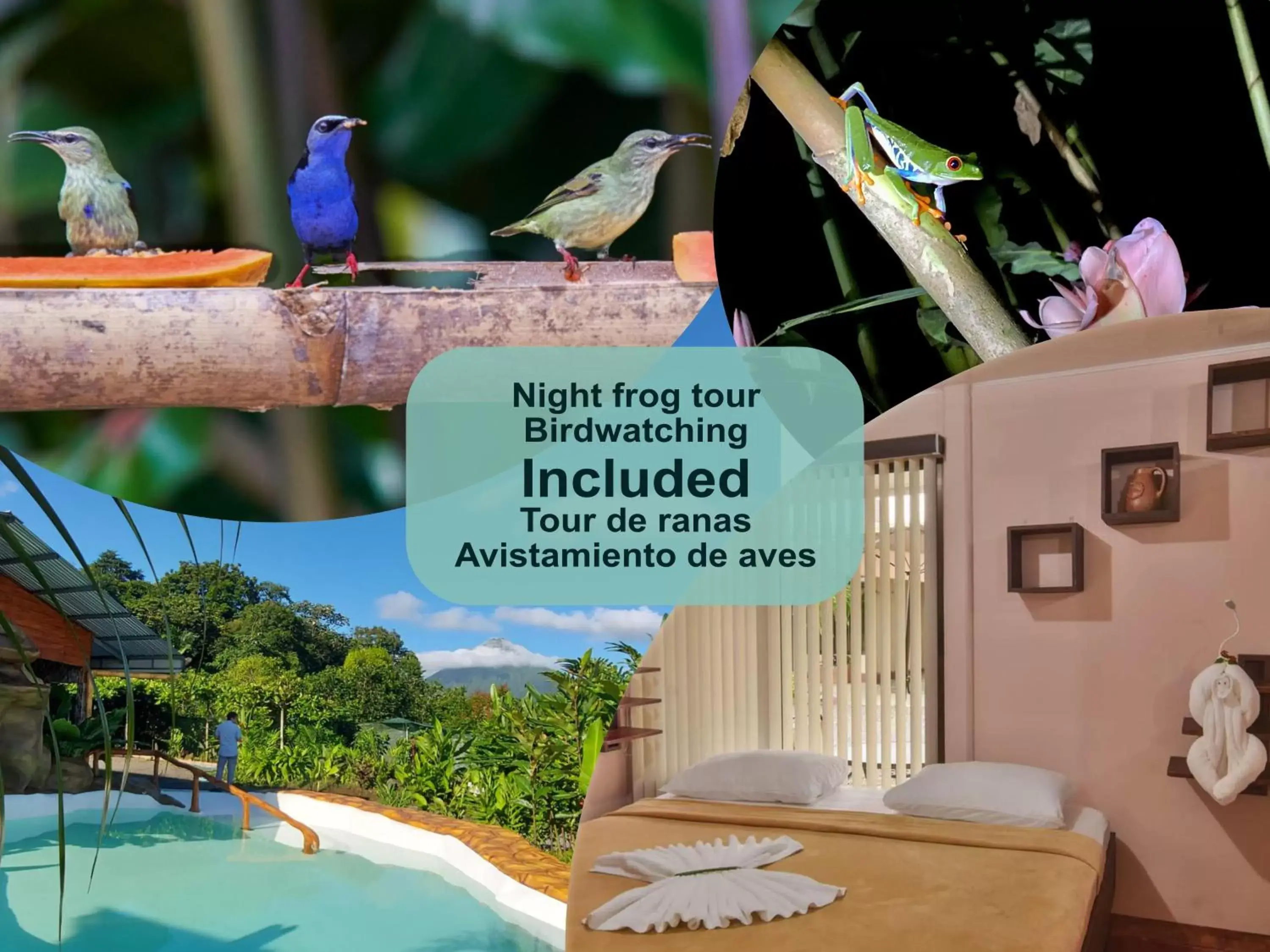 Animals in Cabañas del Rio Animals in Cabañas del Rio