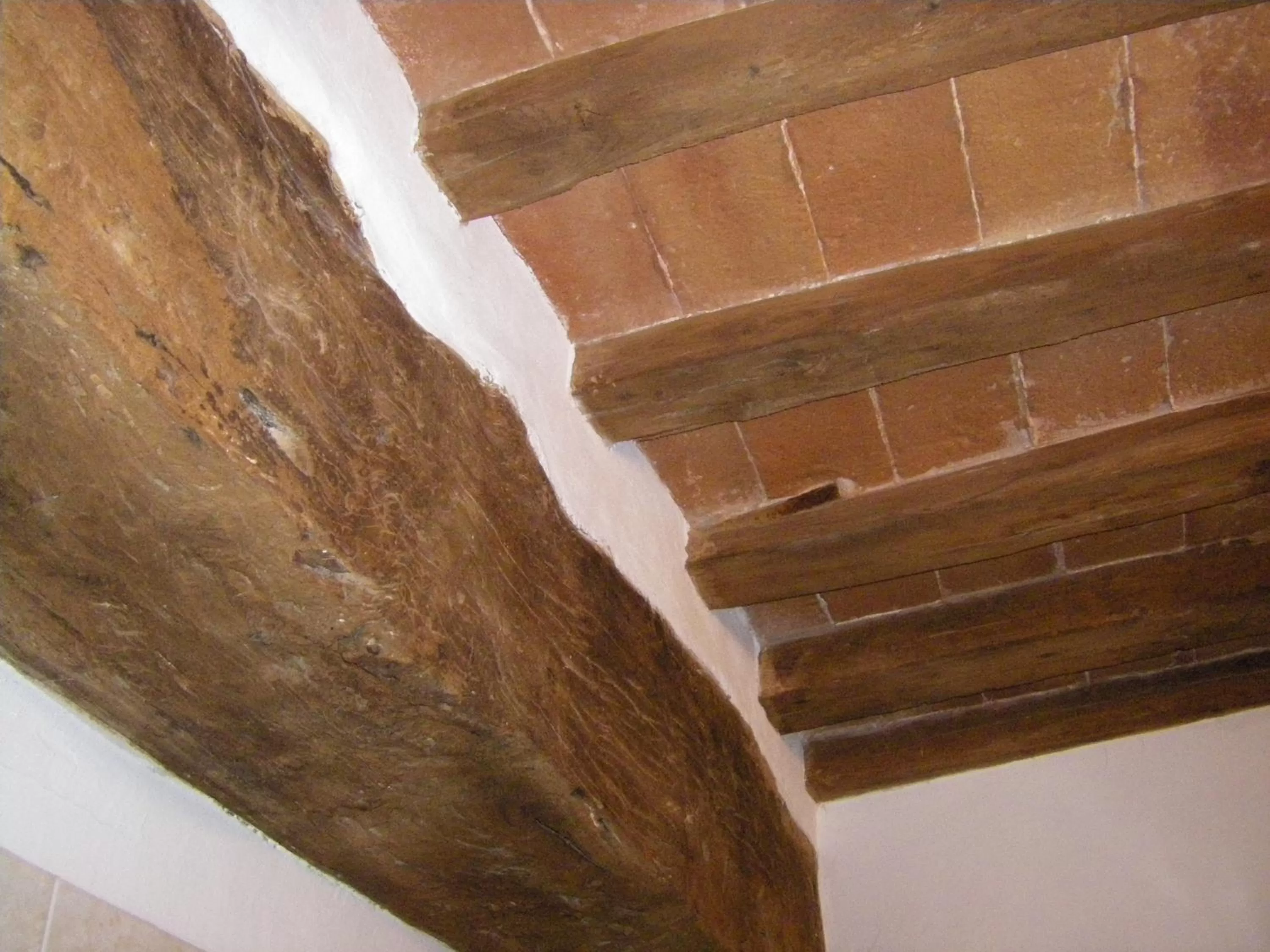 Decorative detail in Albergo Cannon d'Oro