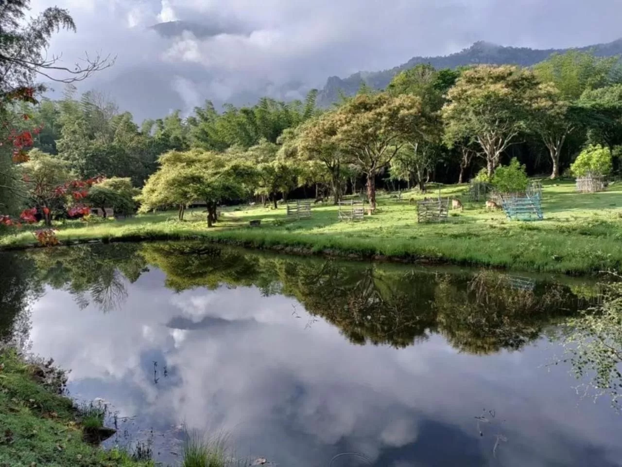 Neighbourhood in Jungle Hut Resort