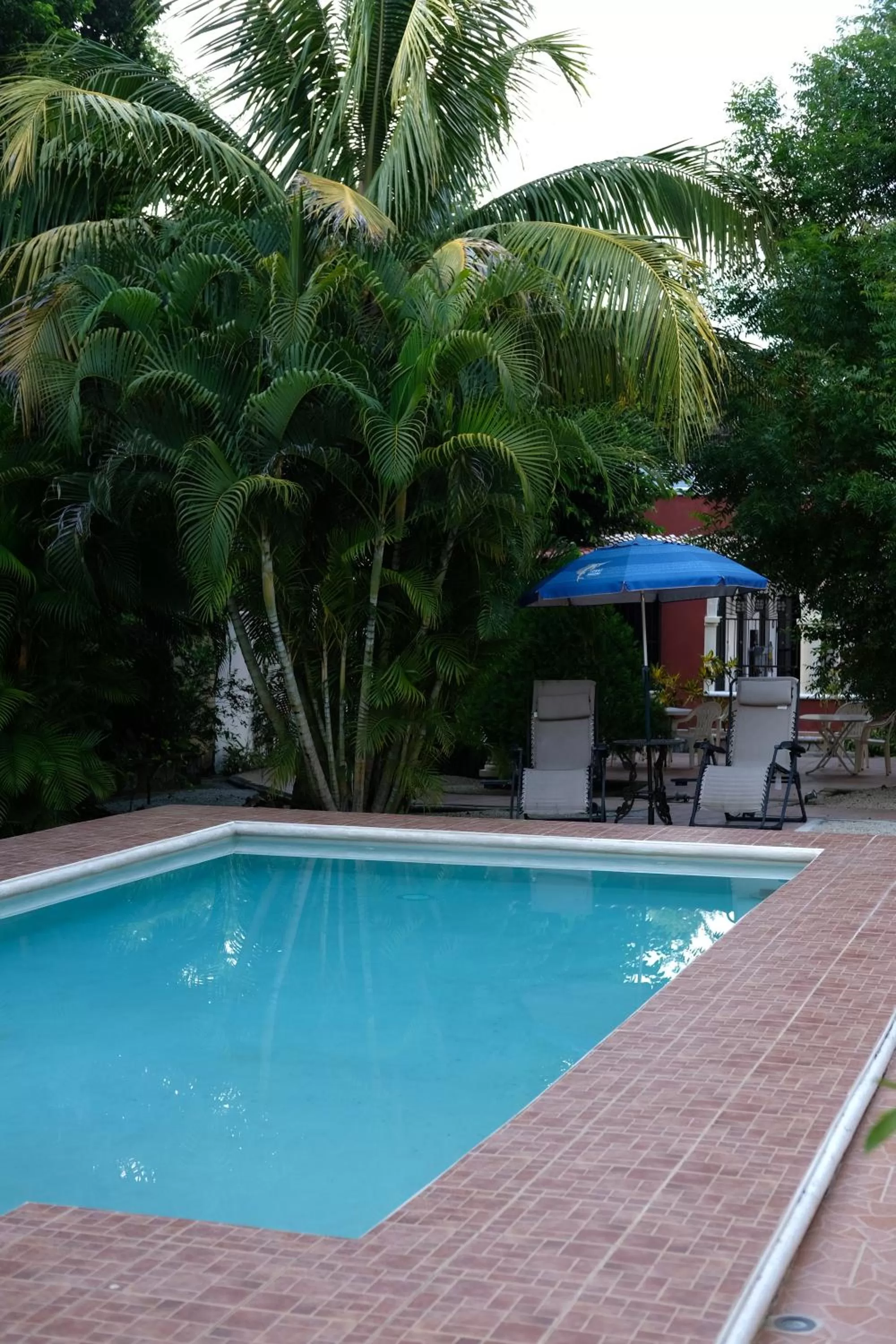Swimming Pool in Posada Ya´ax Ich
