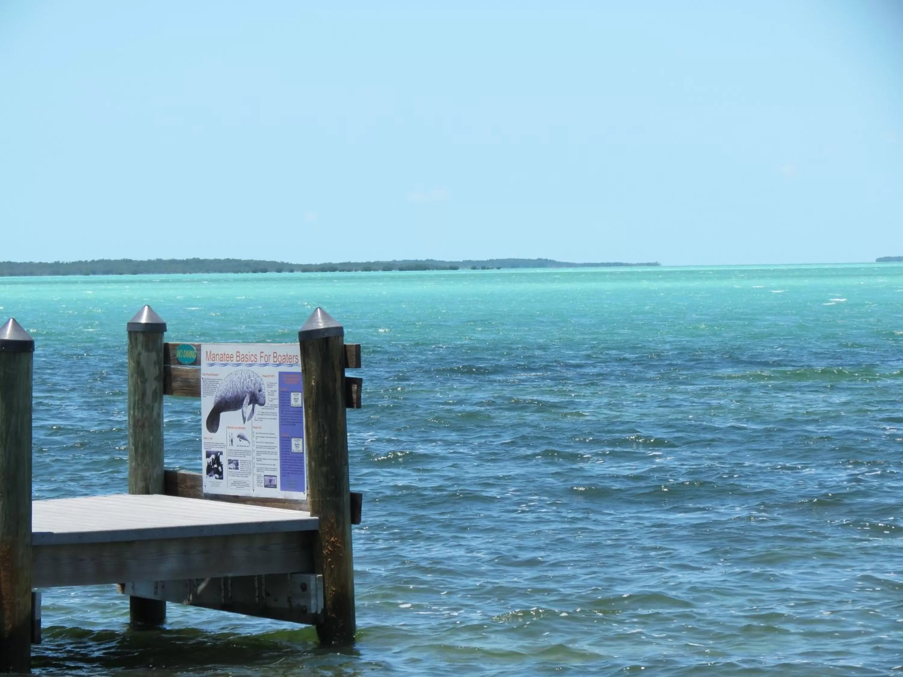 Natural landscape in Coconut Bay Resort - Key Largo