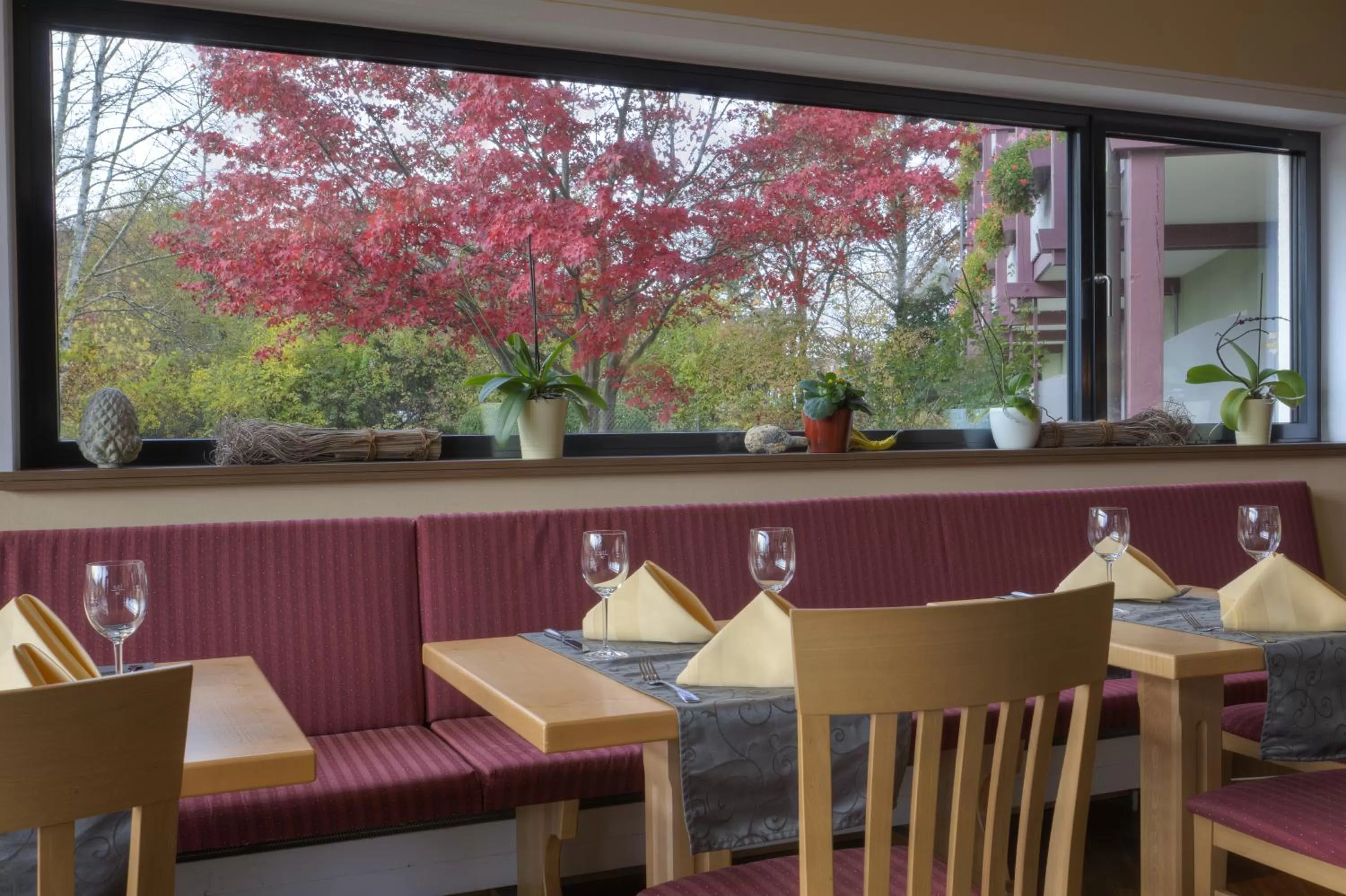 Restaurant/places to eat in Ströbinger Hof - Therme Wellness Resort