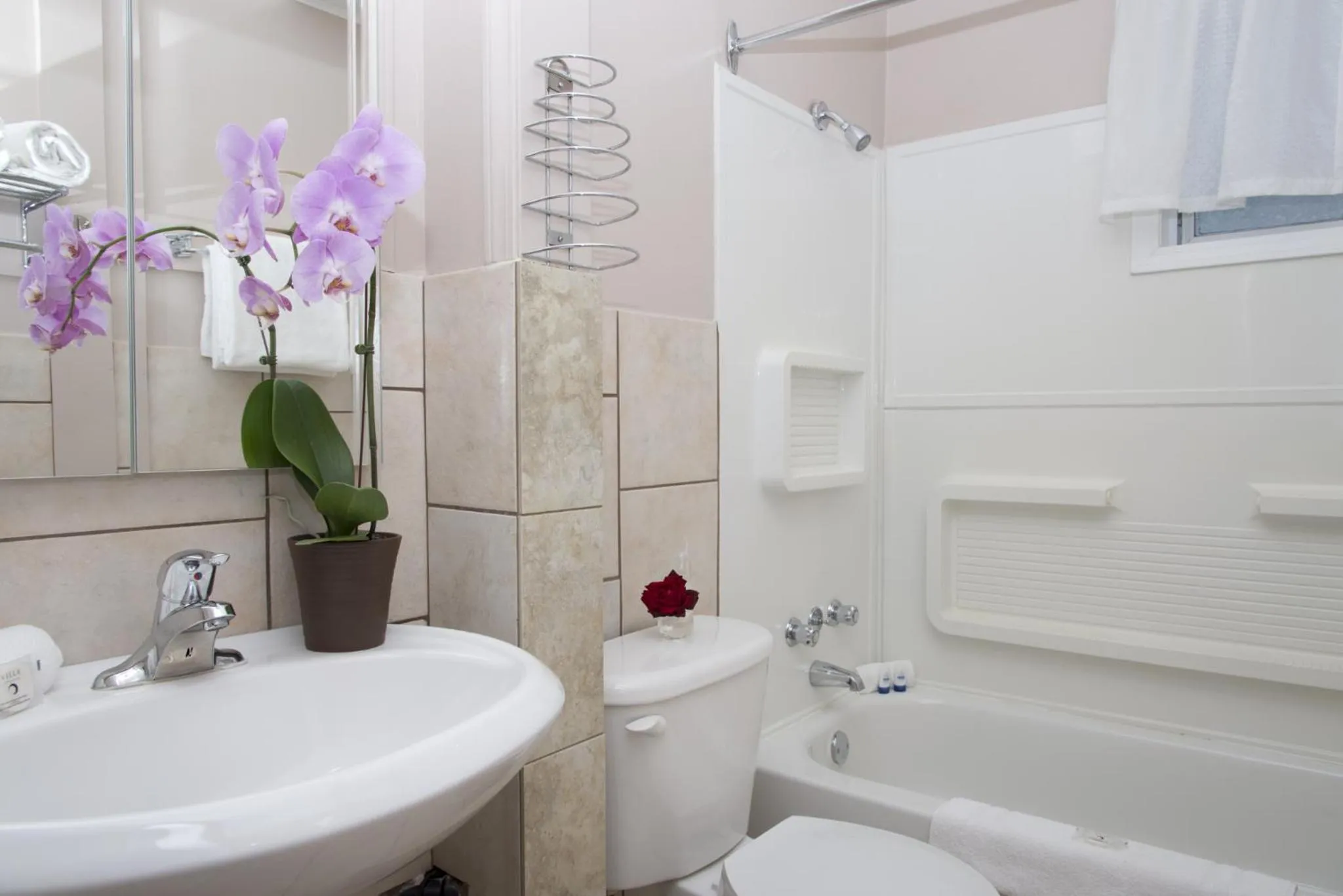 Bathroom in Valley Star Motel