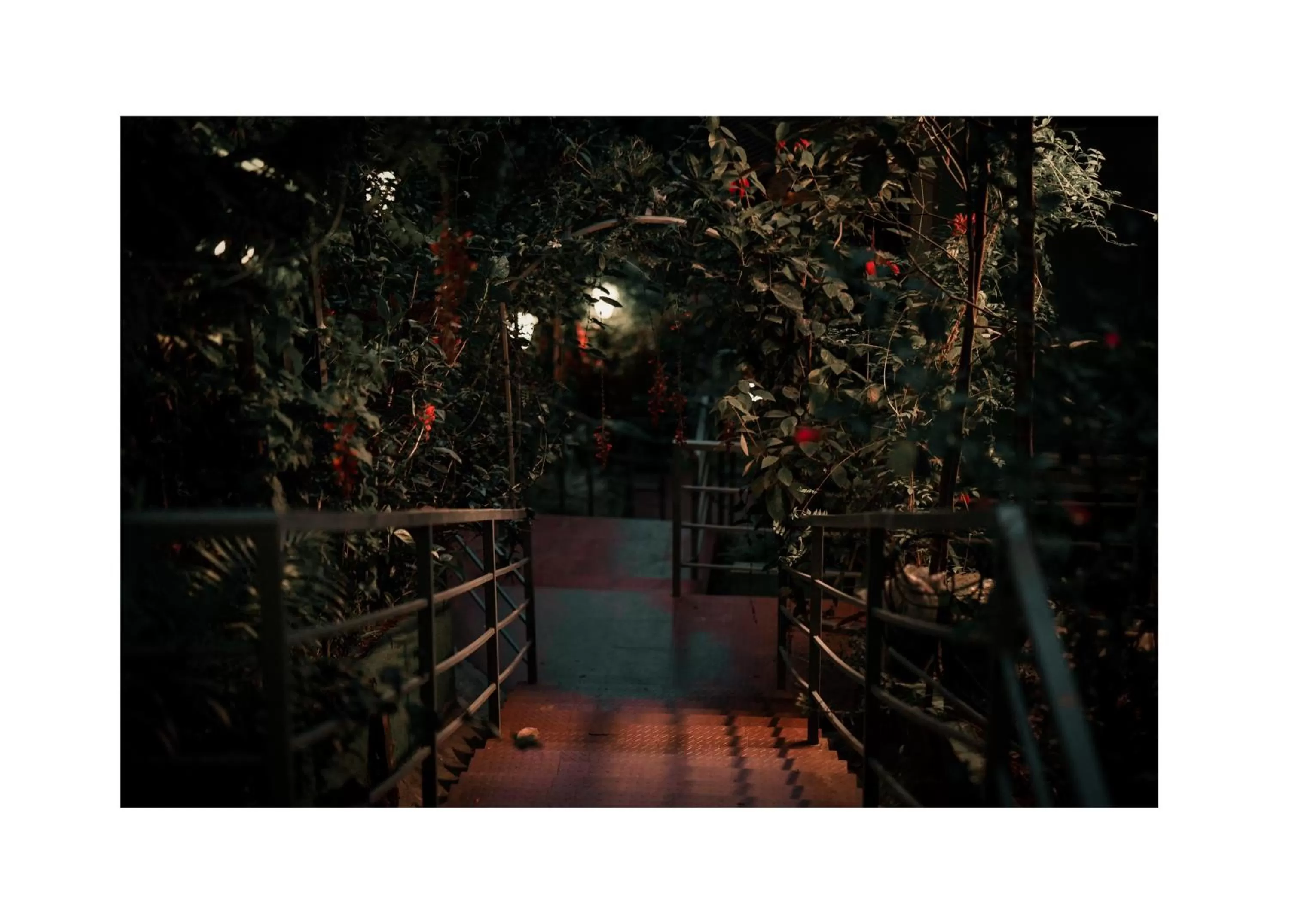 Other in Edens Munnar