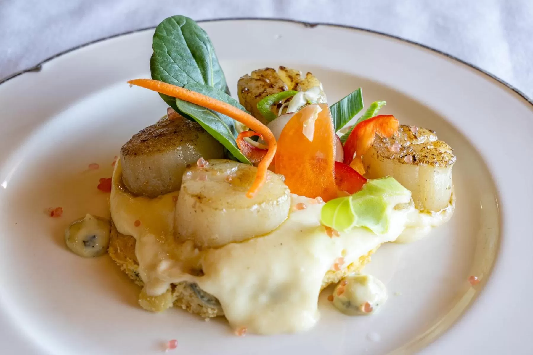 Dinner in Hospitality Carnarvon, SureStay Collection by Best Western