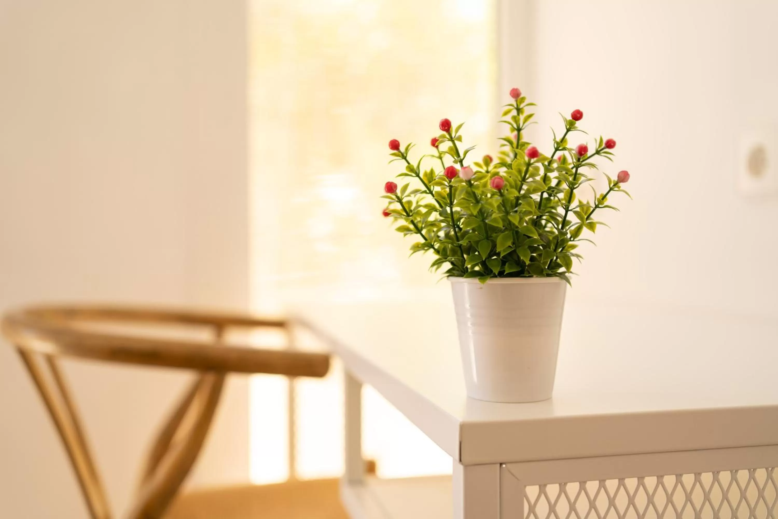 hair dresser, Dining Area in Sitges Beach Hostal