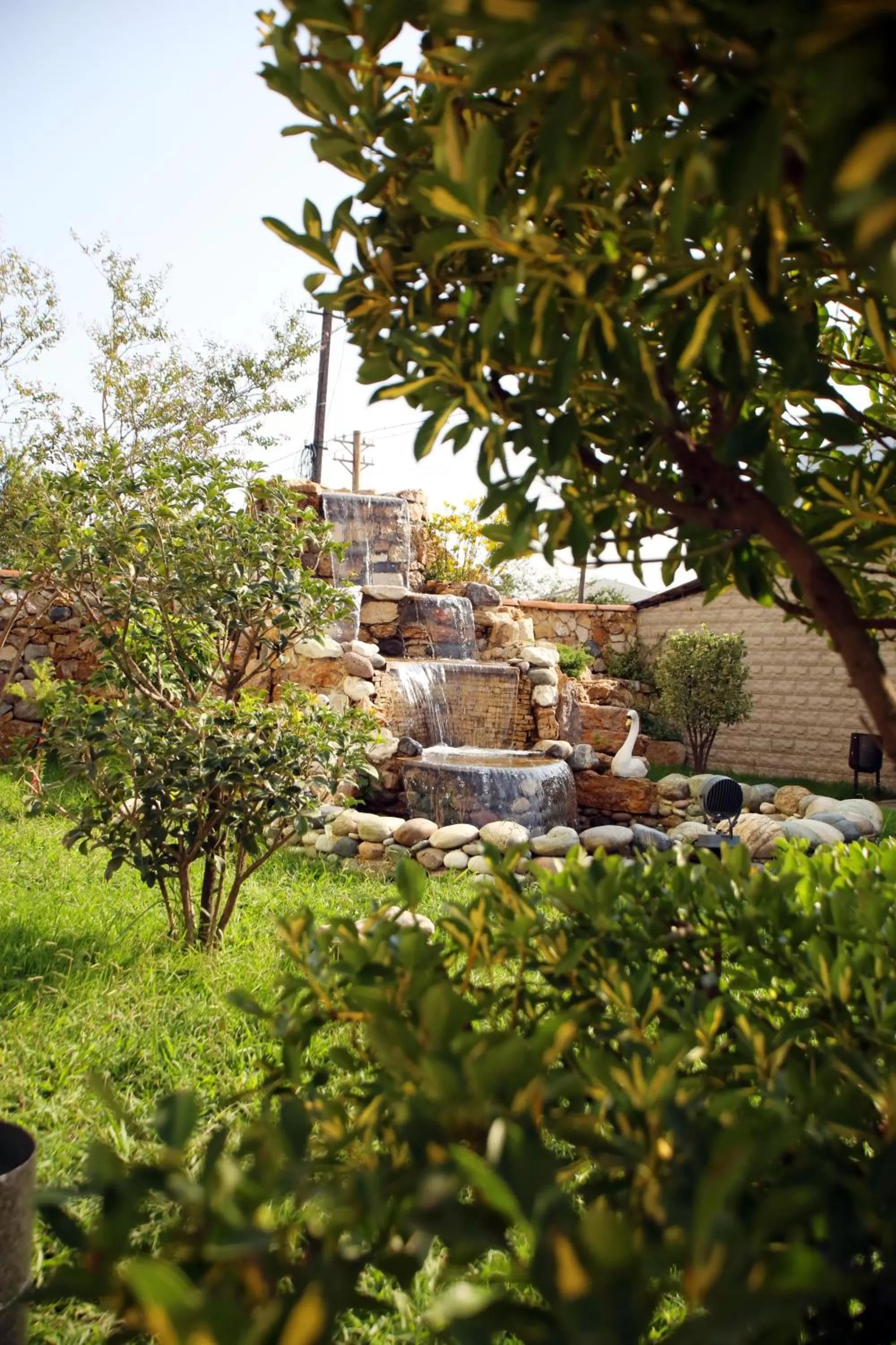 Garden in Hotel Harmony