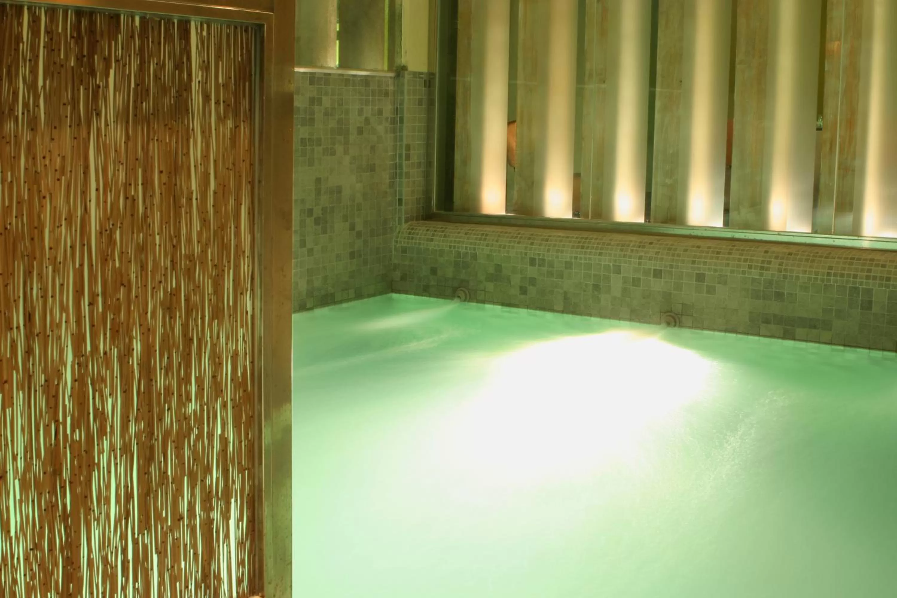 Spa and wellness centre/facilities in Villa Oniria