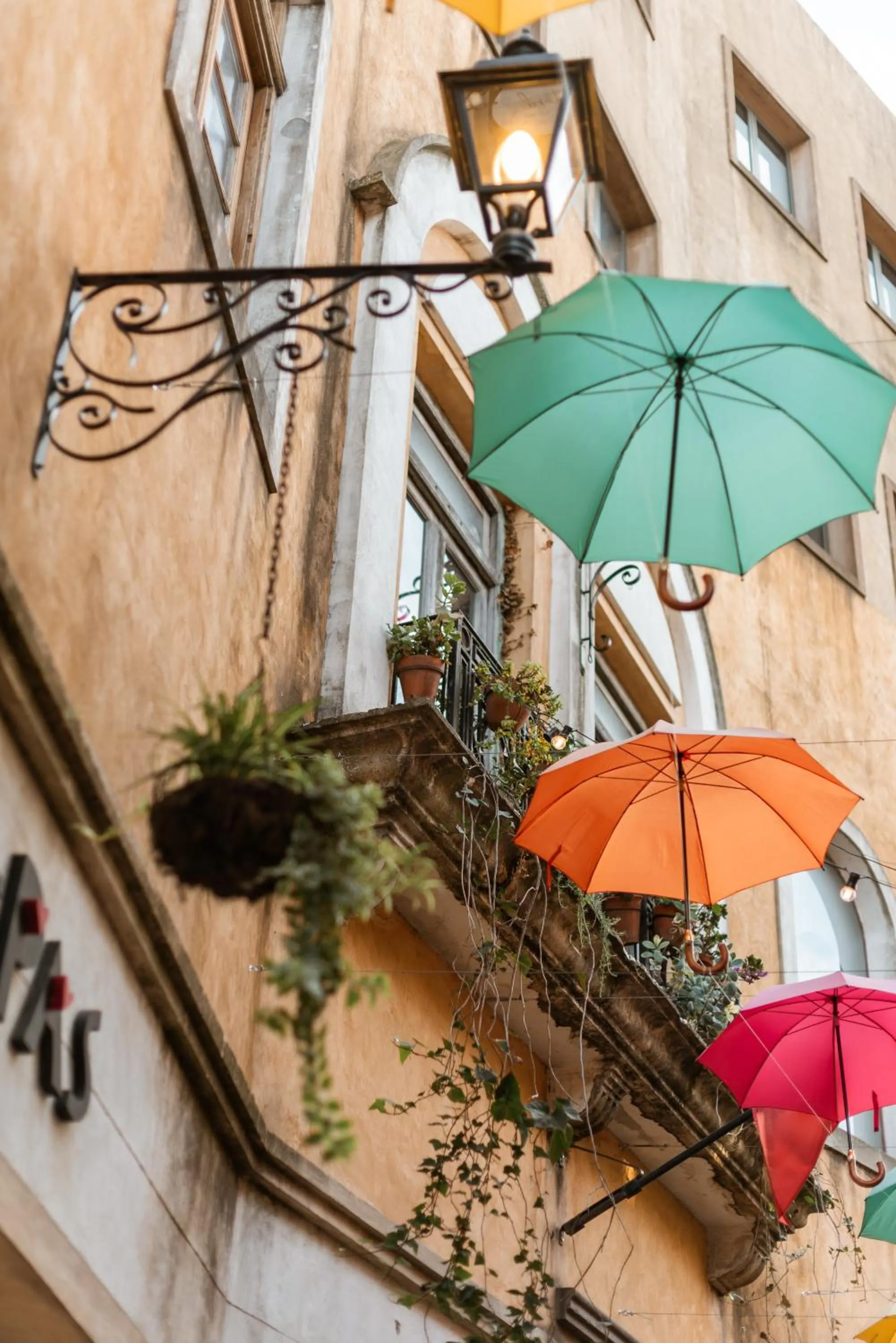 Off site in Hotel Plaza Central Canning