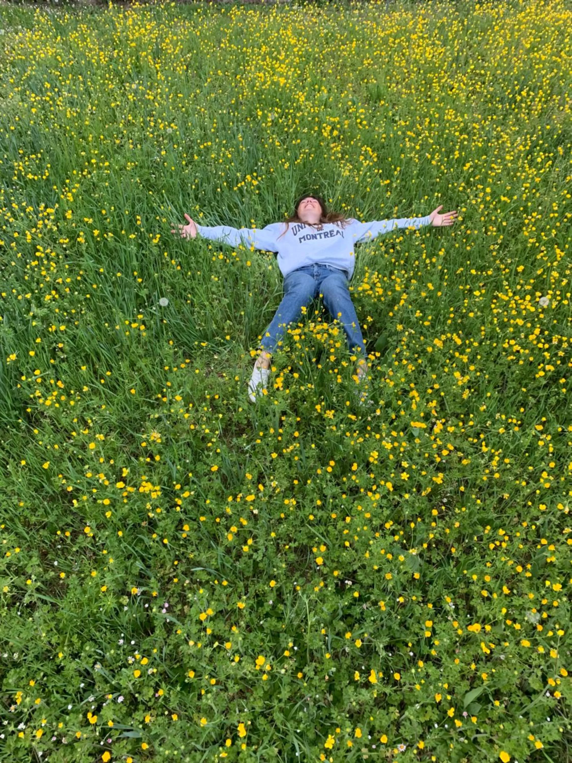 Garden in Villa Corti