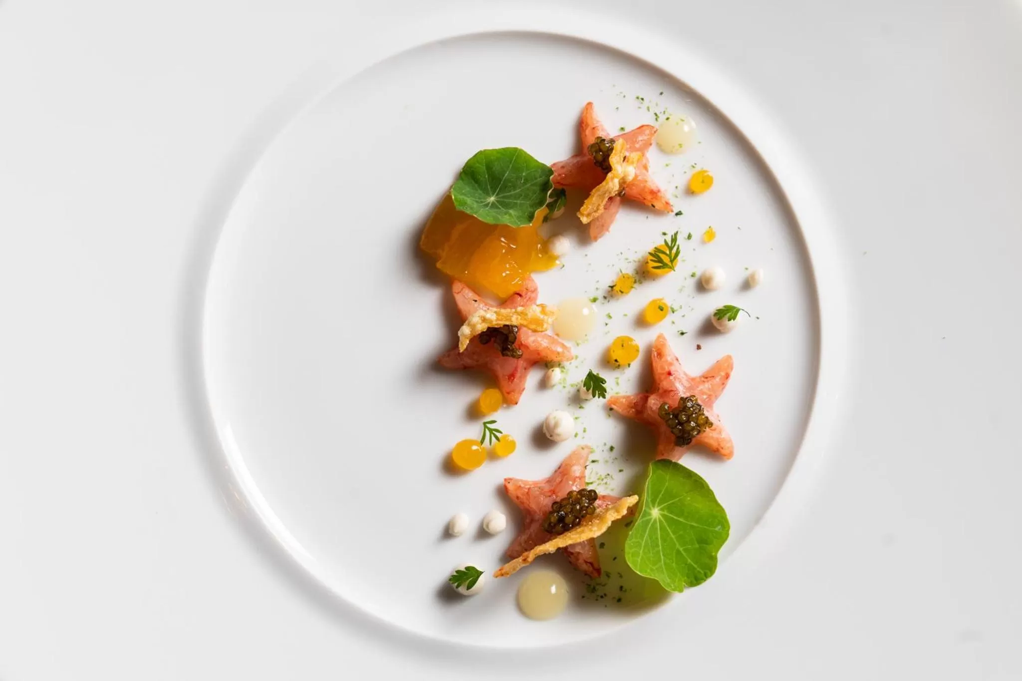 Restaurant/places to eat in Grand Hotel Majestic gia' Baglioni