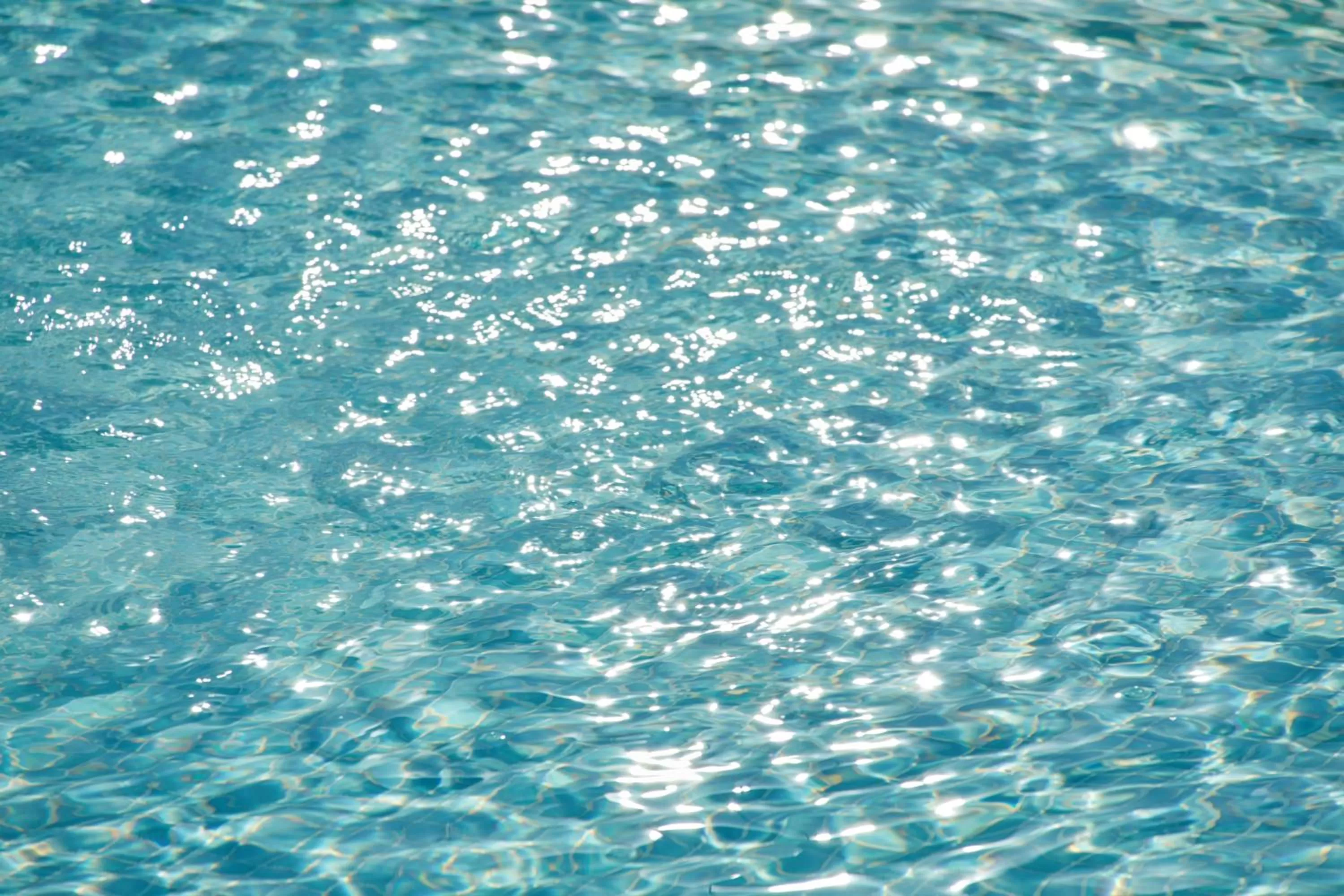 Swimming pool in Calanova Sports Residence