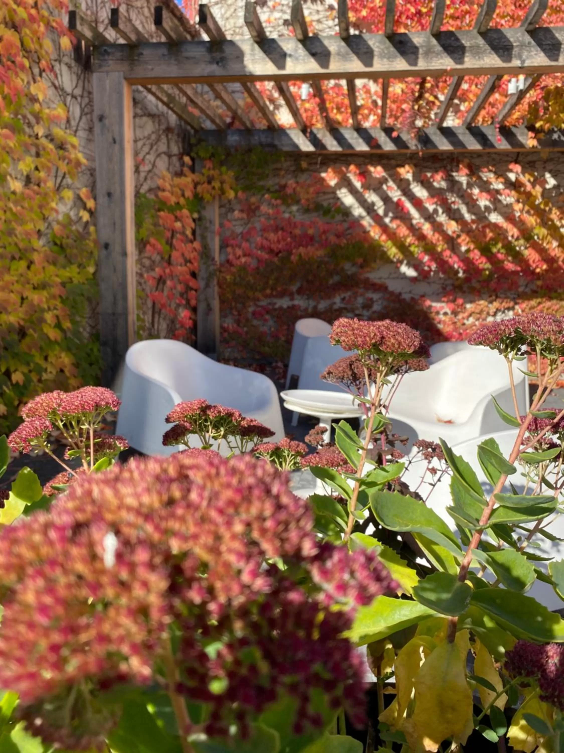 Patio in Hotel city.city