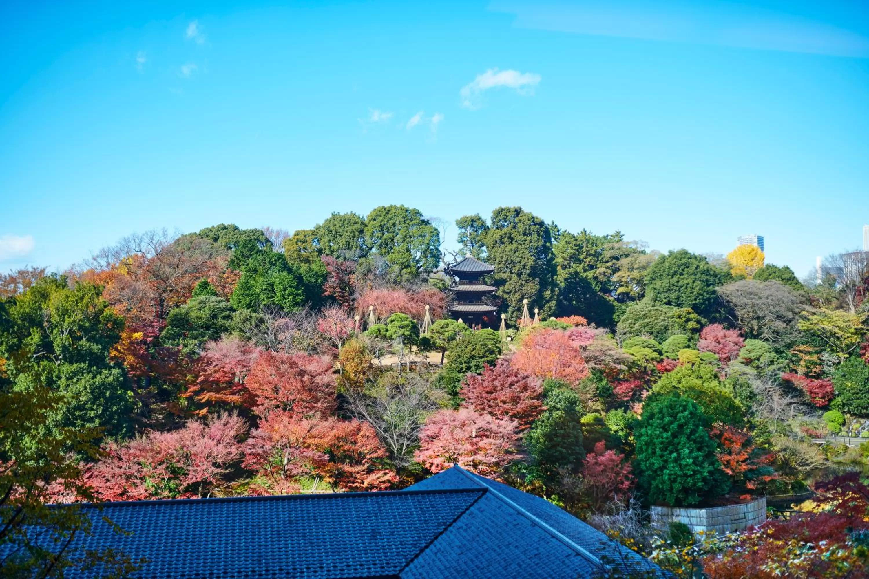 Property building in Hotel Chinzanso Tokyo
