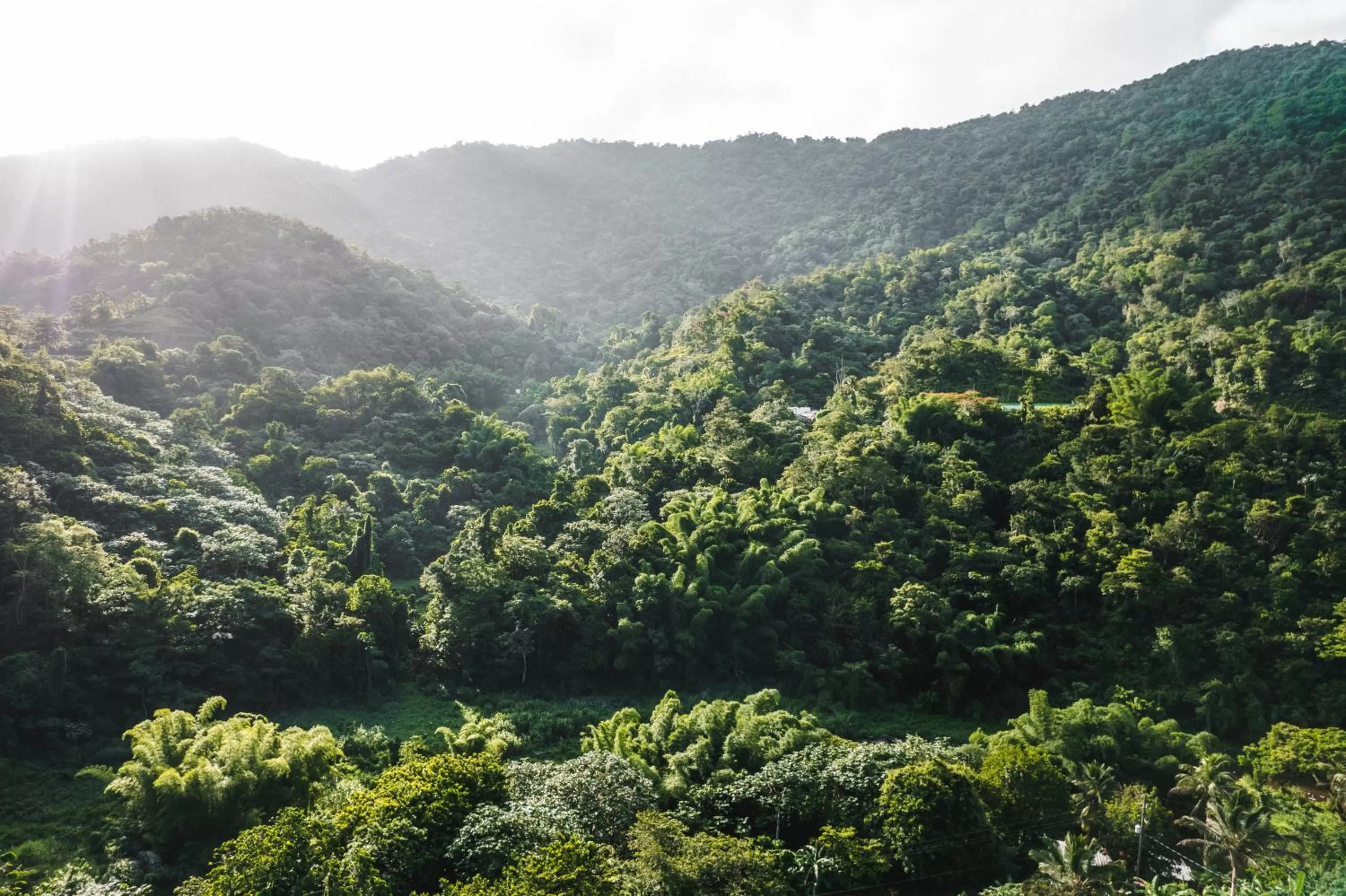 Natural landscape in Casa Grande Mountain Retreat - Adults Only