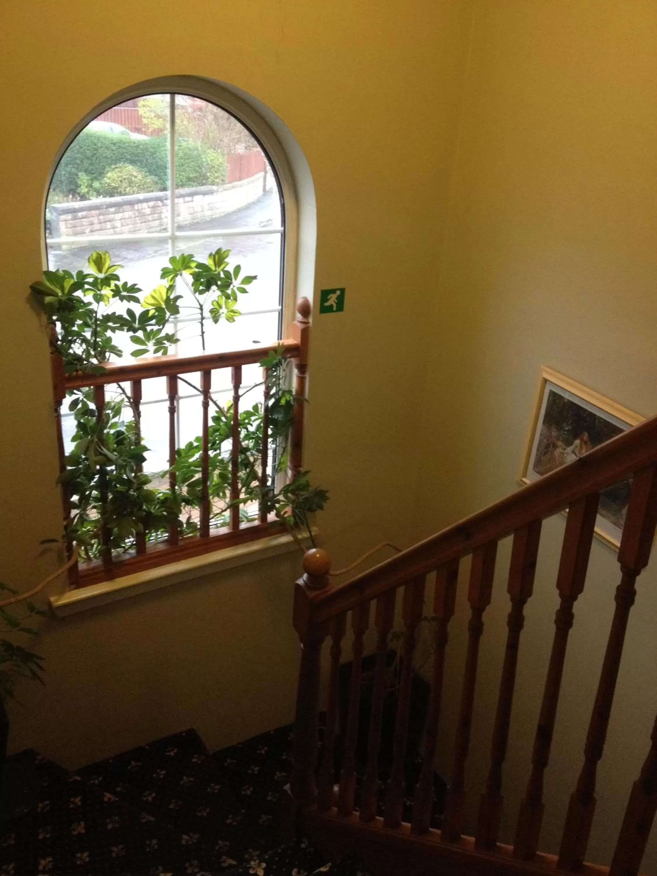 View (from property/room) in Twin Lions Hotel