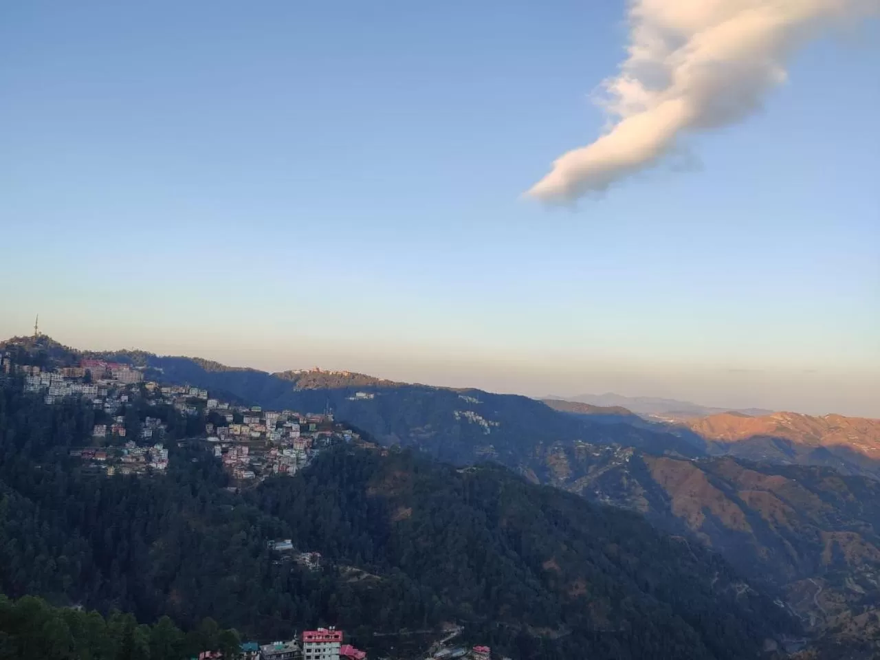 Day in The Oaktree House