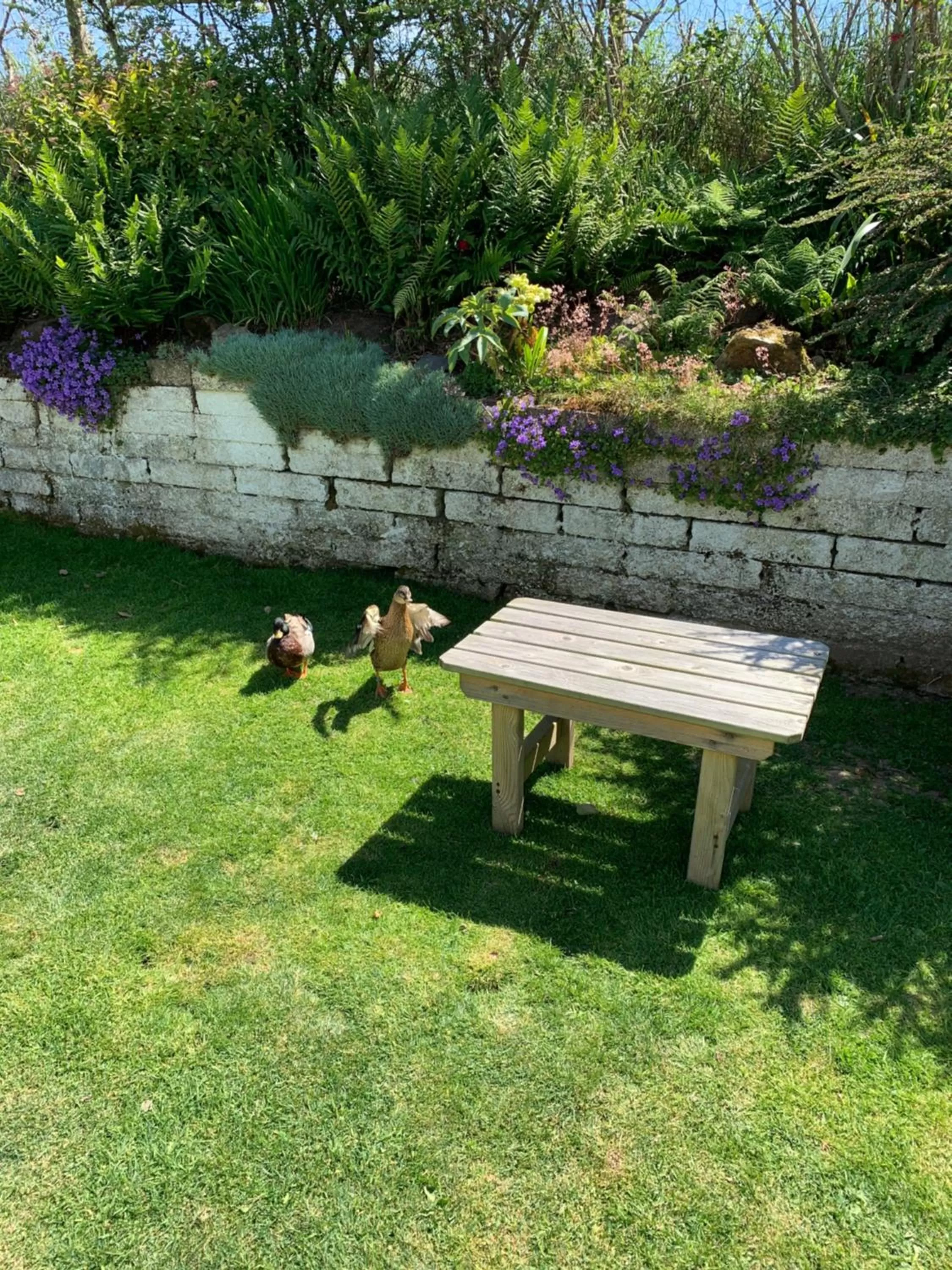 Garden in Ramsey House