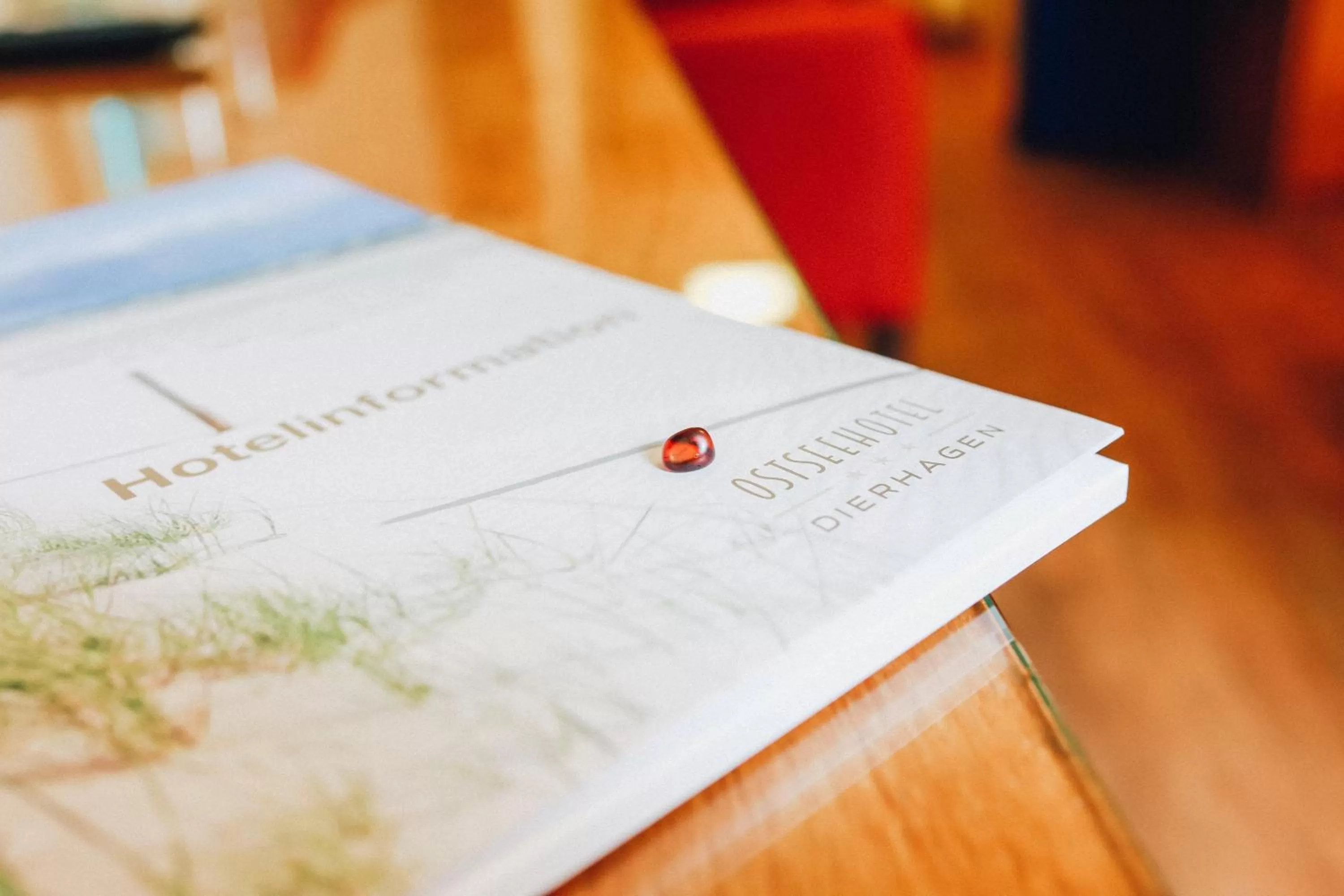 Property logo or sign in Ostseehotel Dierhagen