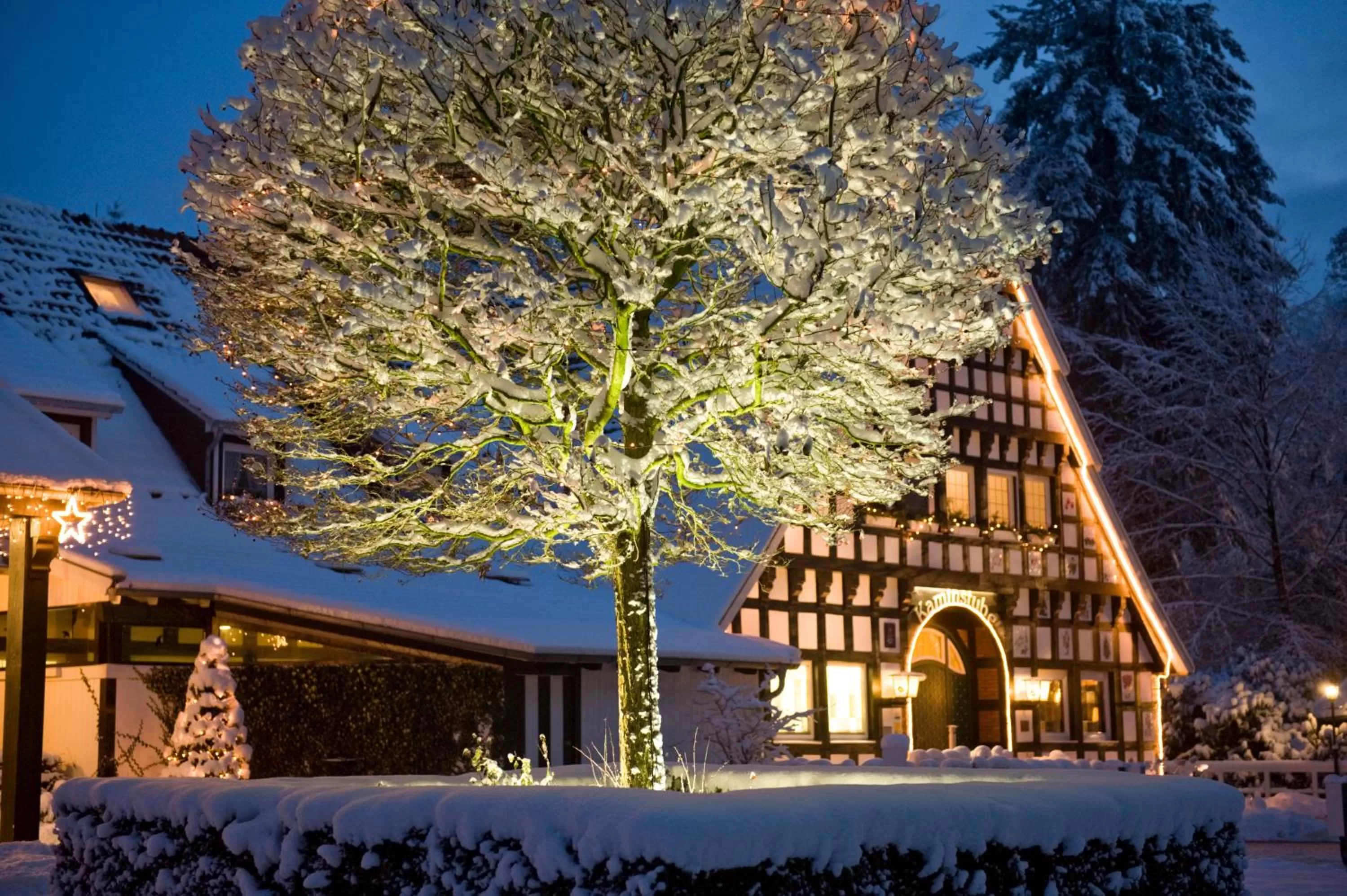 Winter in VILA VITA Burghotel Dinklage